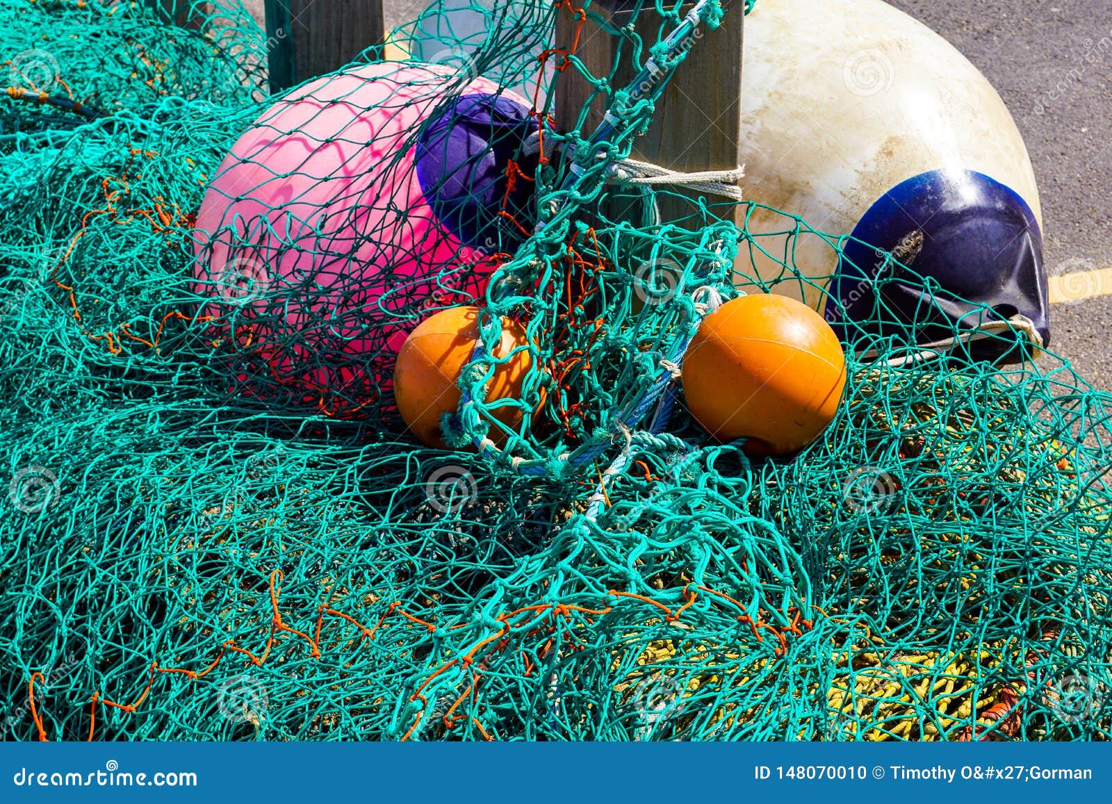 Fishing Nets and Floats at West Bay Stock Photo Image of floats, nets 148070010