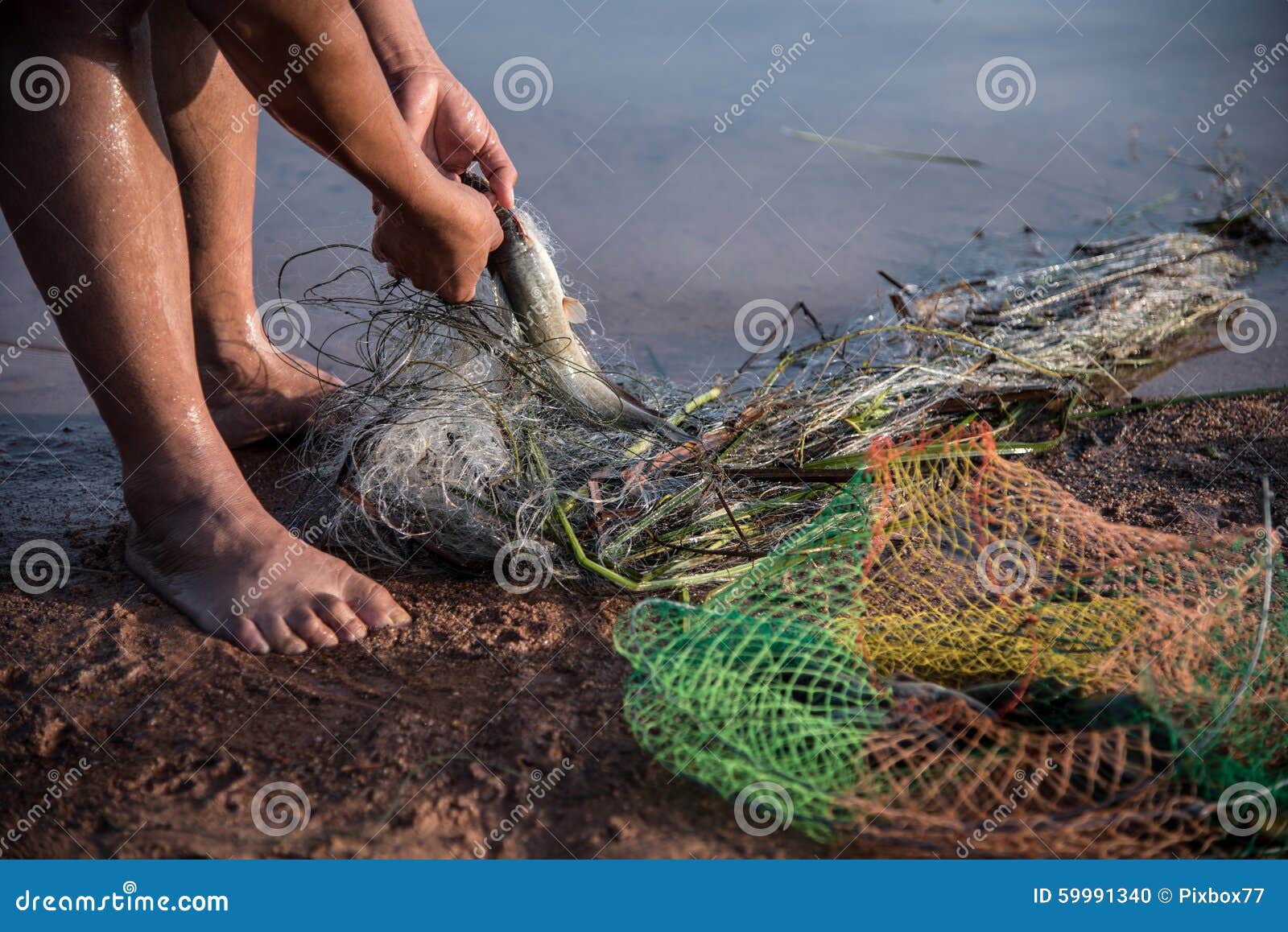 Fishing by nets stock photo. Image of hand, river, catch 59991340