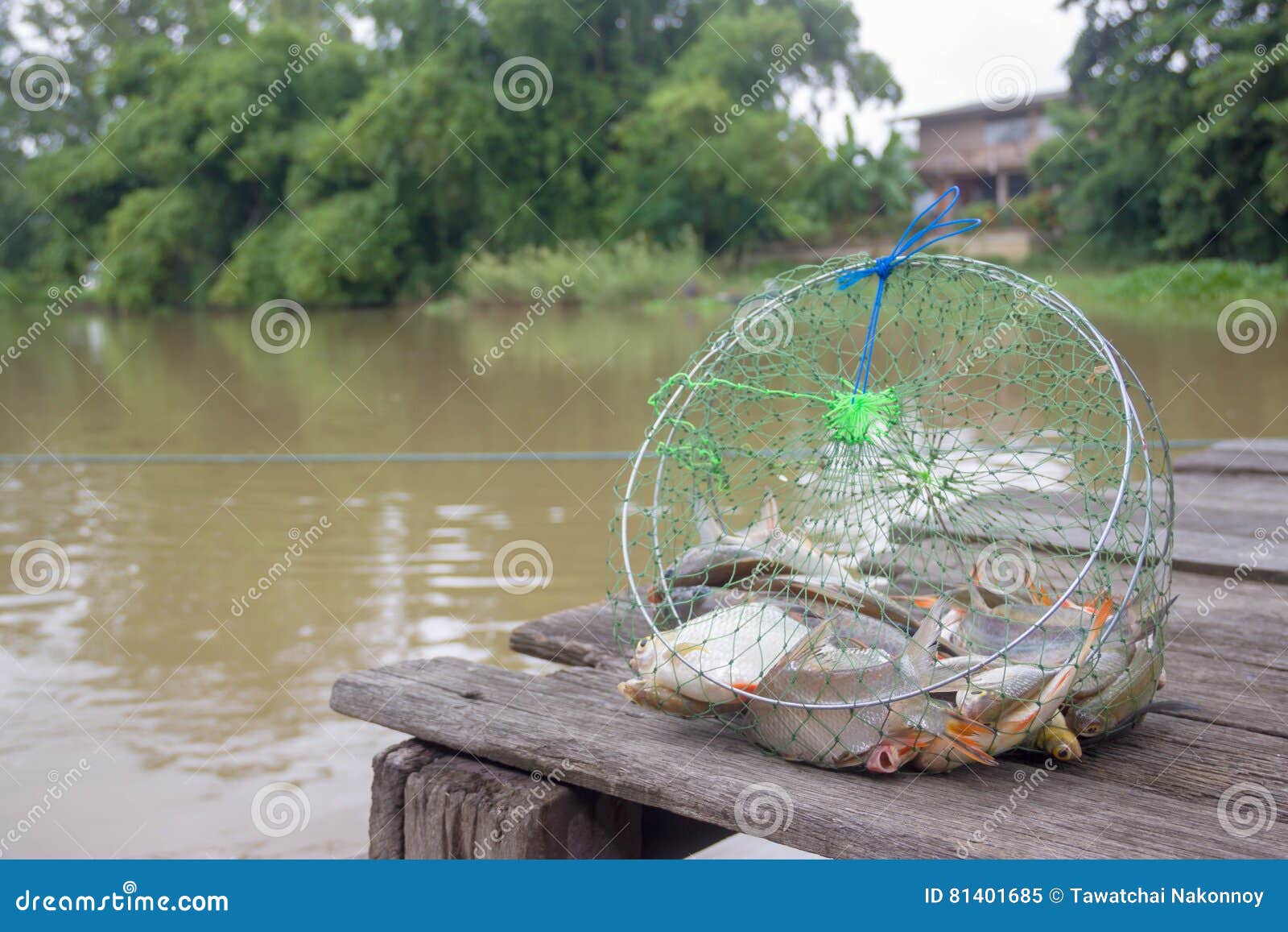 Fishing nets stock image. Image of nature, netting, river 81401685