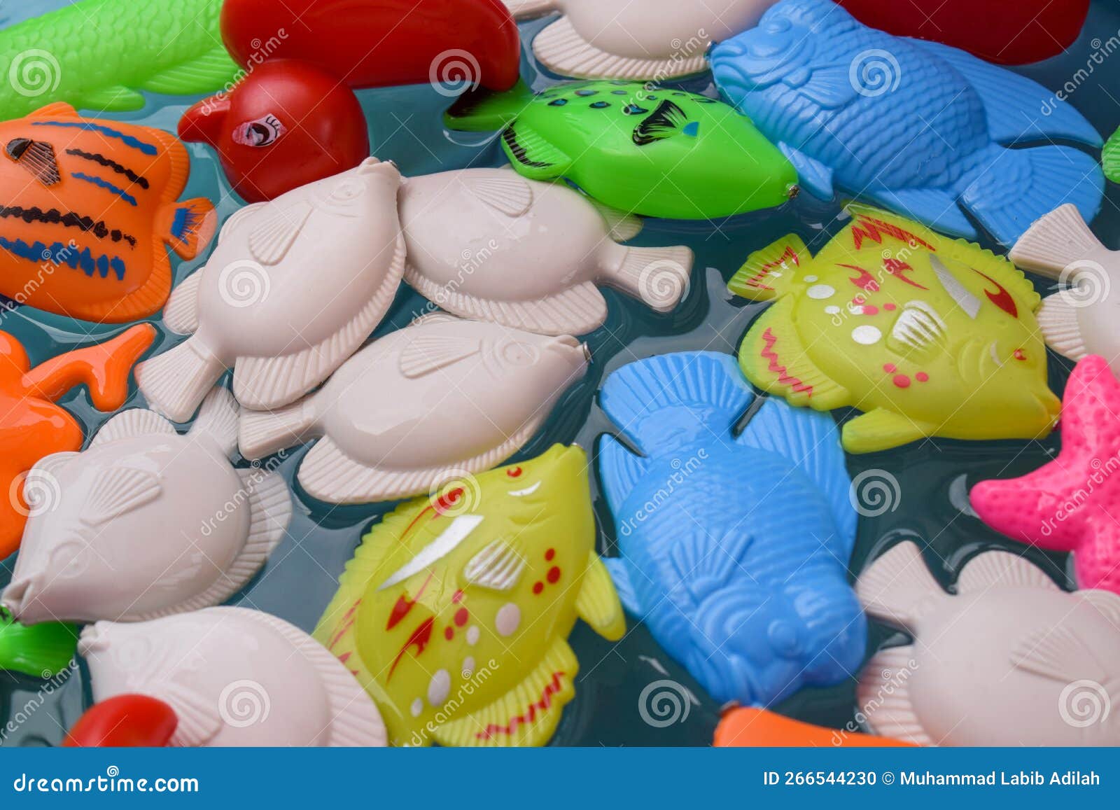 Fishing in the Paddling Pool. Children S Toys in the Pool. Toy Fish Fishing  Rod Stock Photo - Image of baby, hand: 266544230