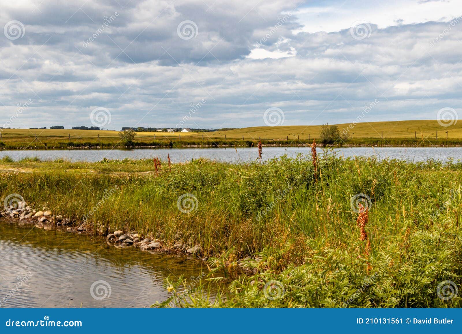 Fishing Ponds and Shorelines. Crossfield, Alberta, Canada Stock Image
