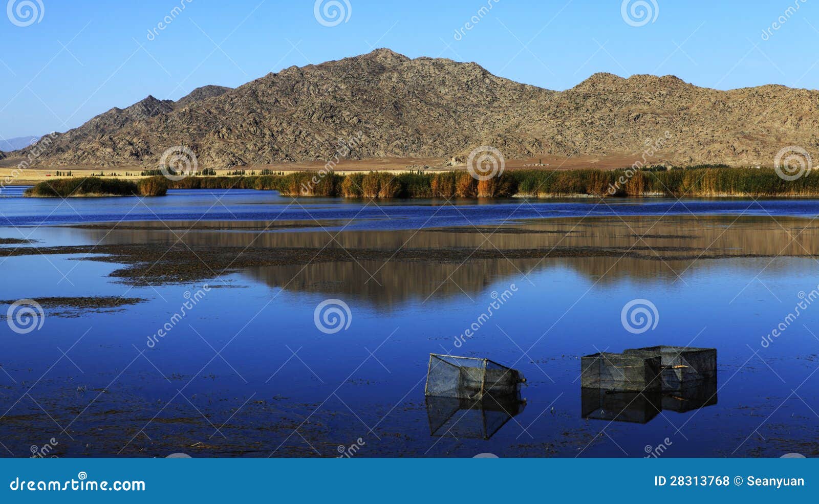 Fishing reed lake view stock photo. Image of nature, case 28313768