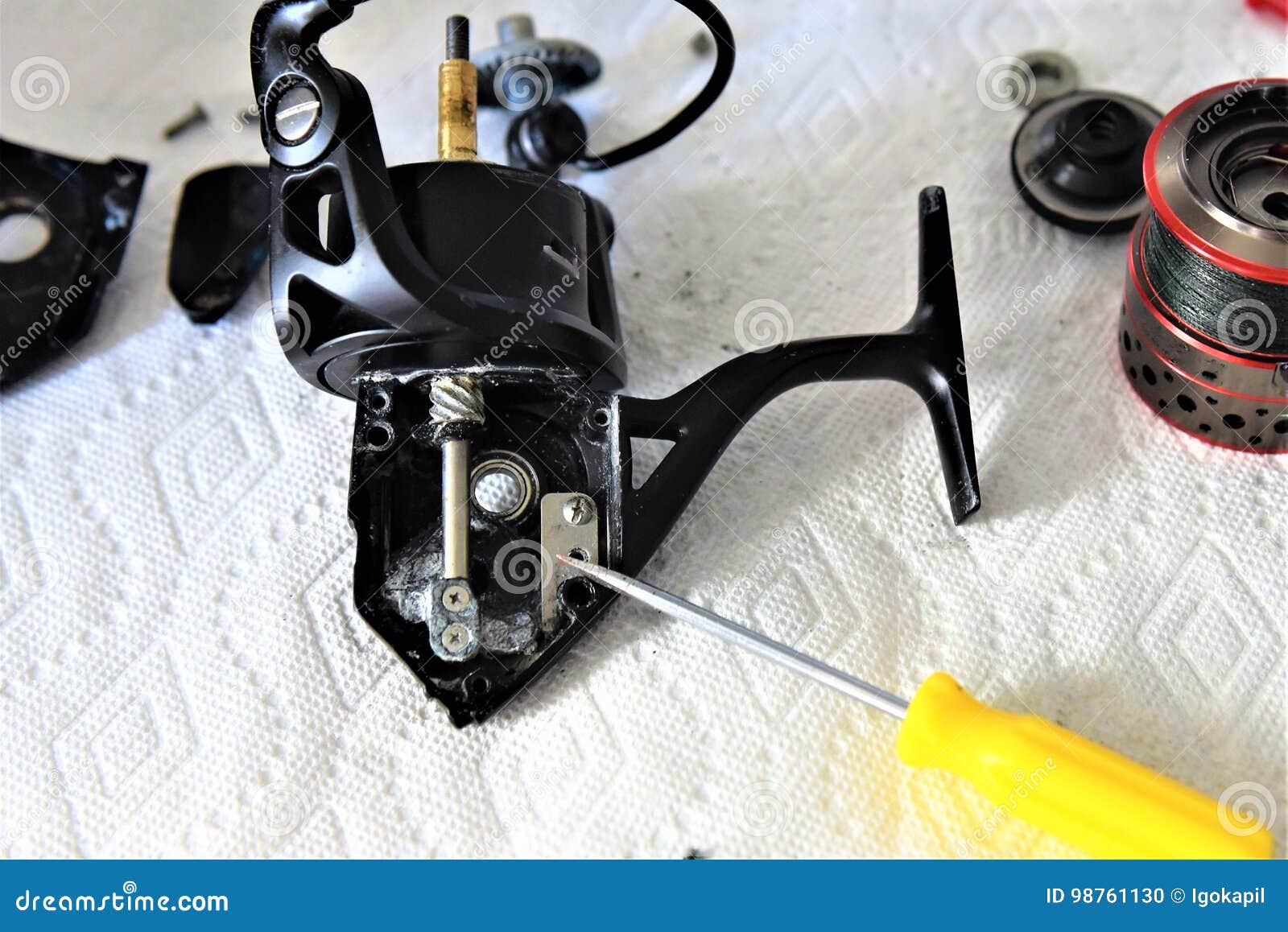 Fishing Reel Disassembled Parts after Cleaning Stock Photo - Image