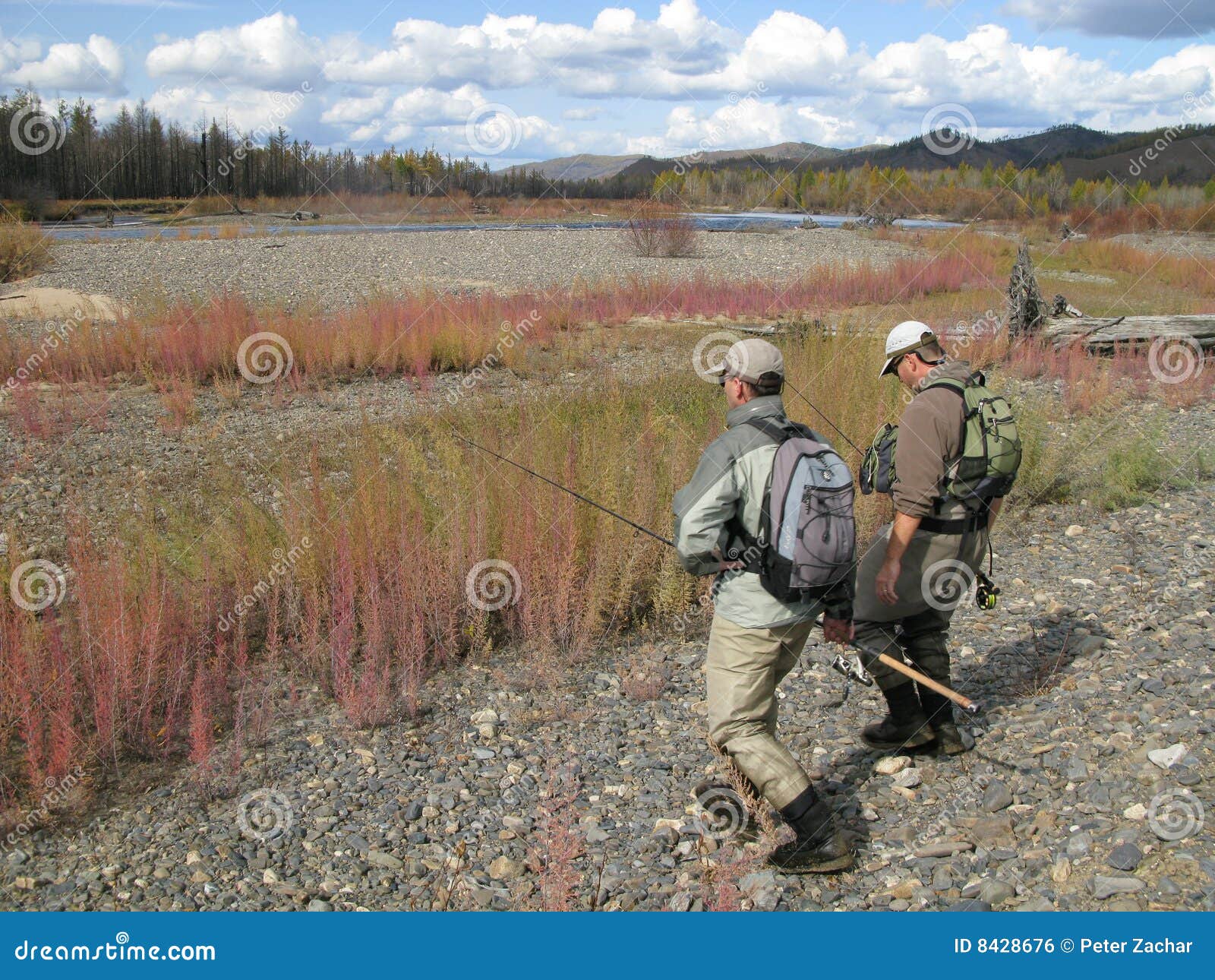 Fishing road to river stock photo. Image of fish, bite 8428676