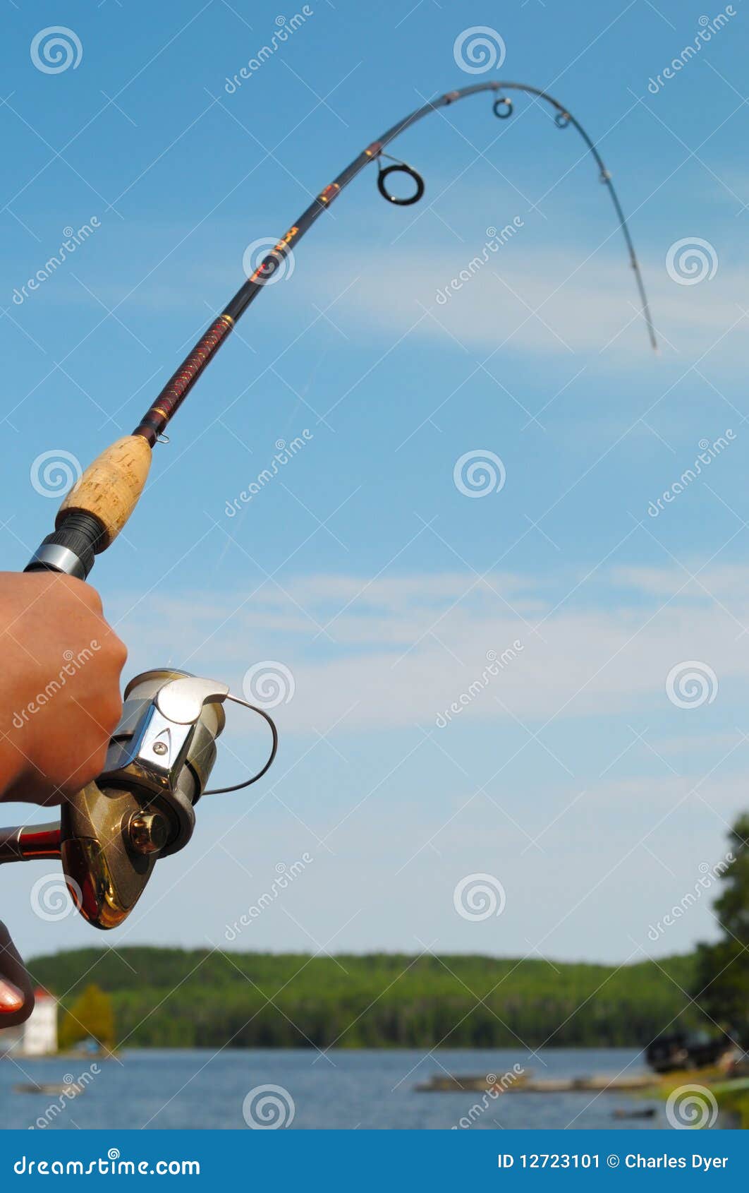 2,363 Fishing Hand Holding Rod Stock Photos - Free & Royalty-Free