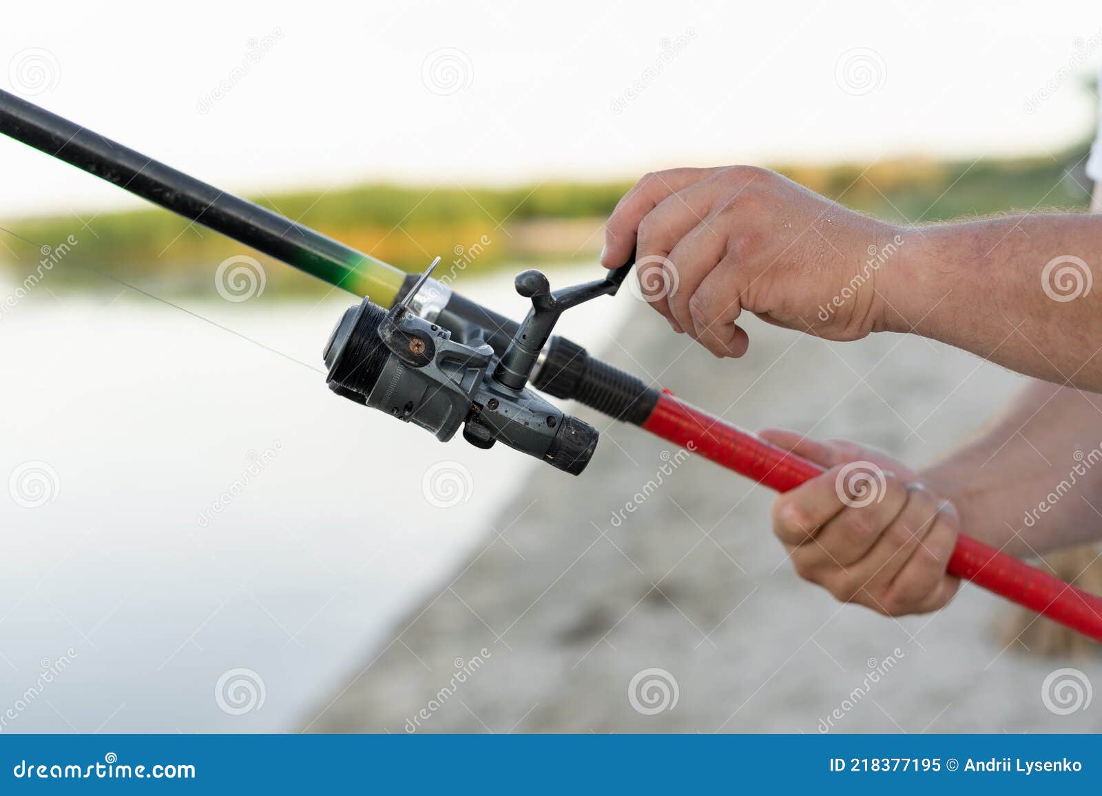 Fishing Rod in Male Hands Close-up. the Guy Fisherman Twists the Line and  Pulls the Fish. River or Estuary Stock Image - Image of metal, ardour:  218377195
