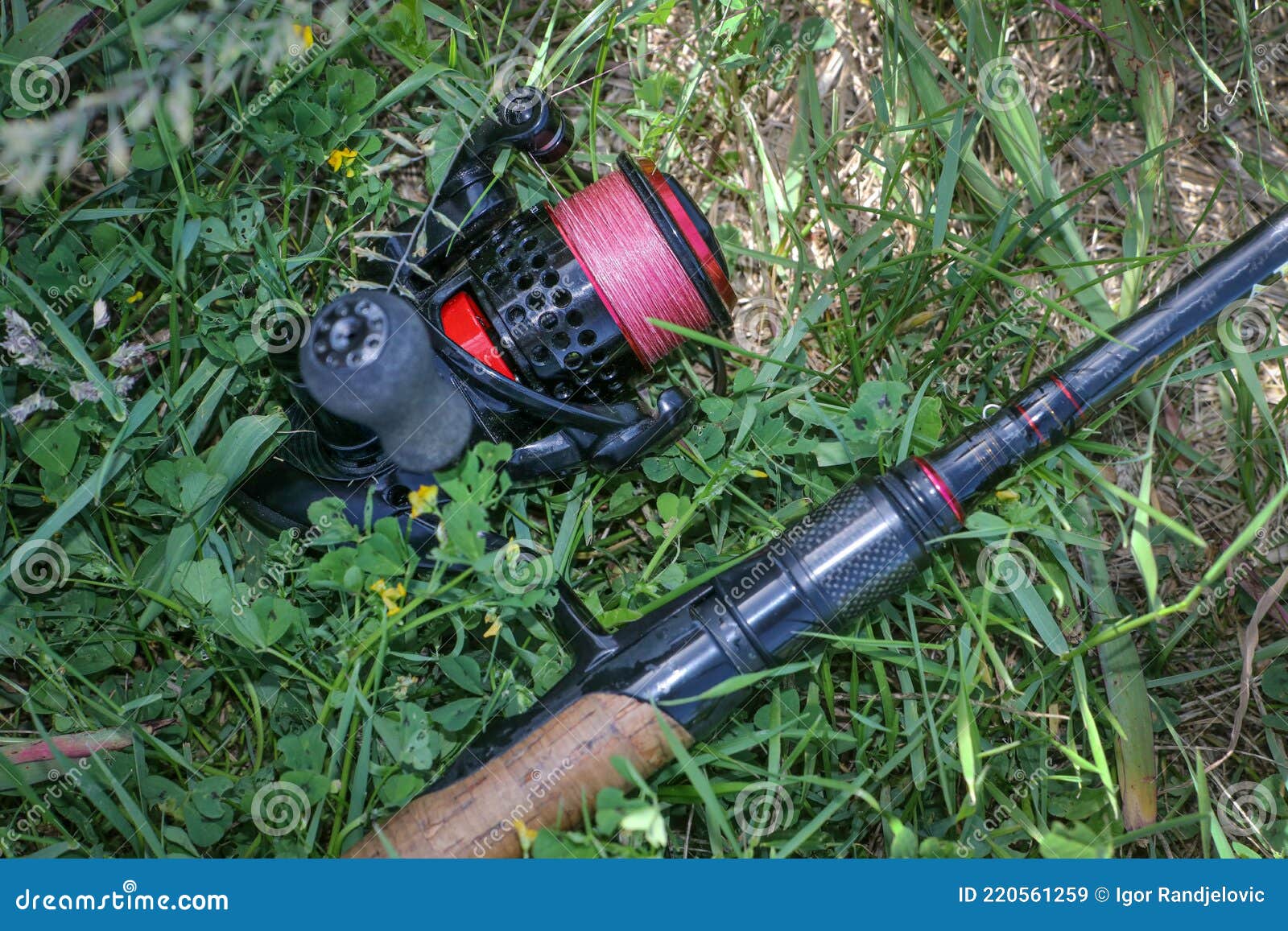 Fishing Reel with Red Fishing Line on the Grass Stock Image