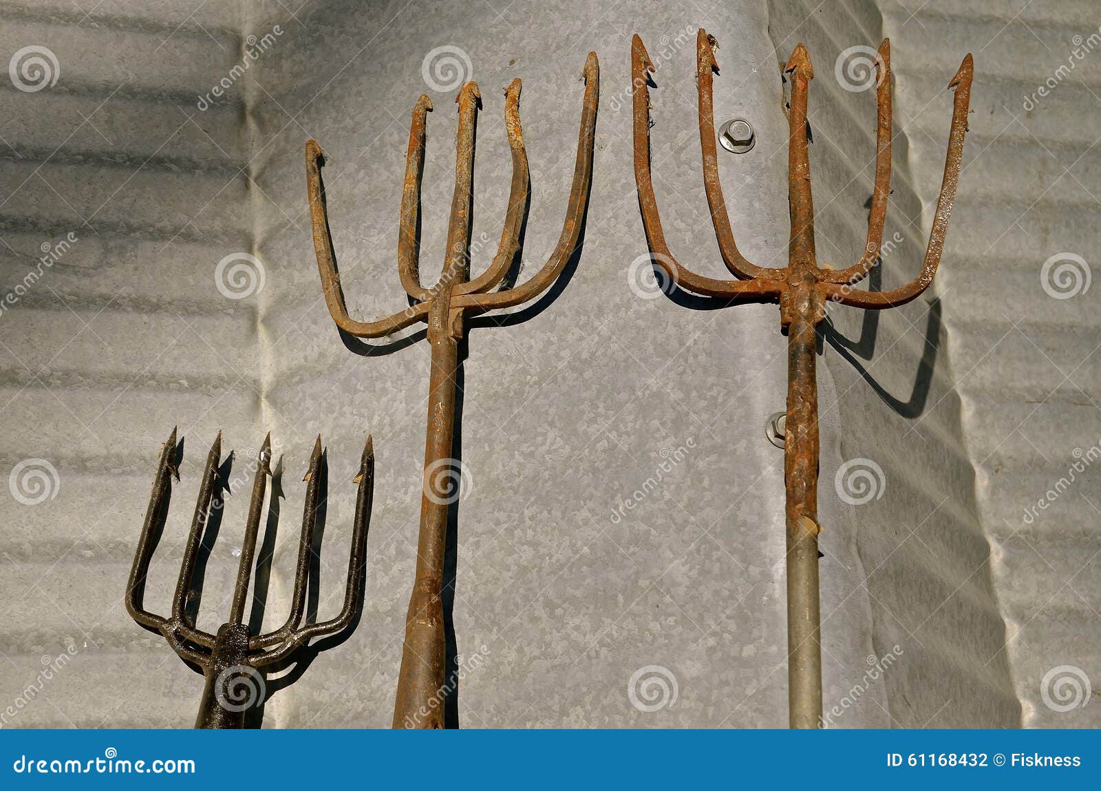 Fishing Spears with Five Prongs Stock Photo - Image of tines