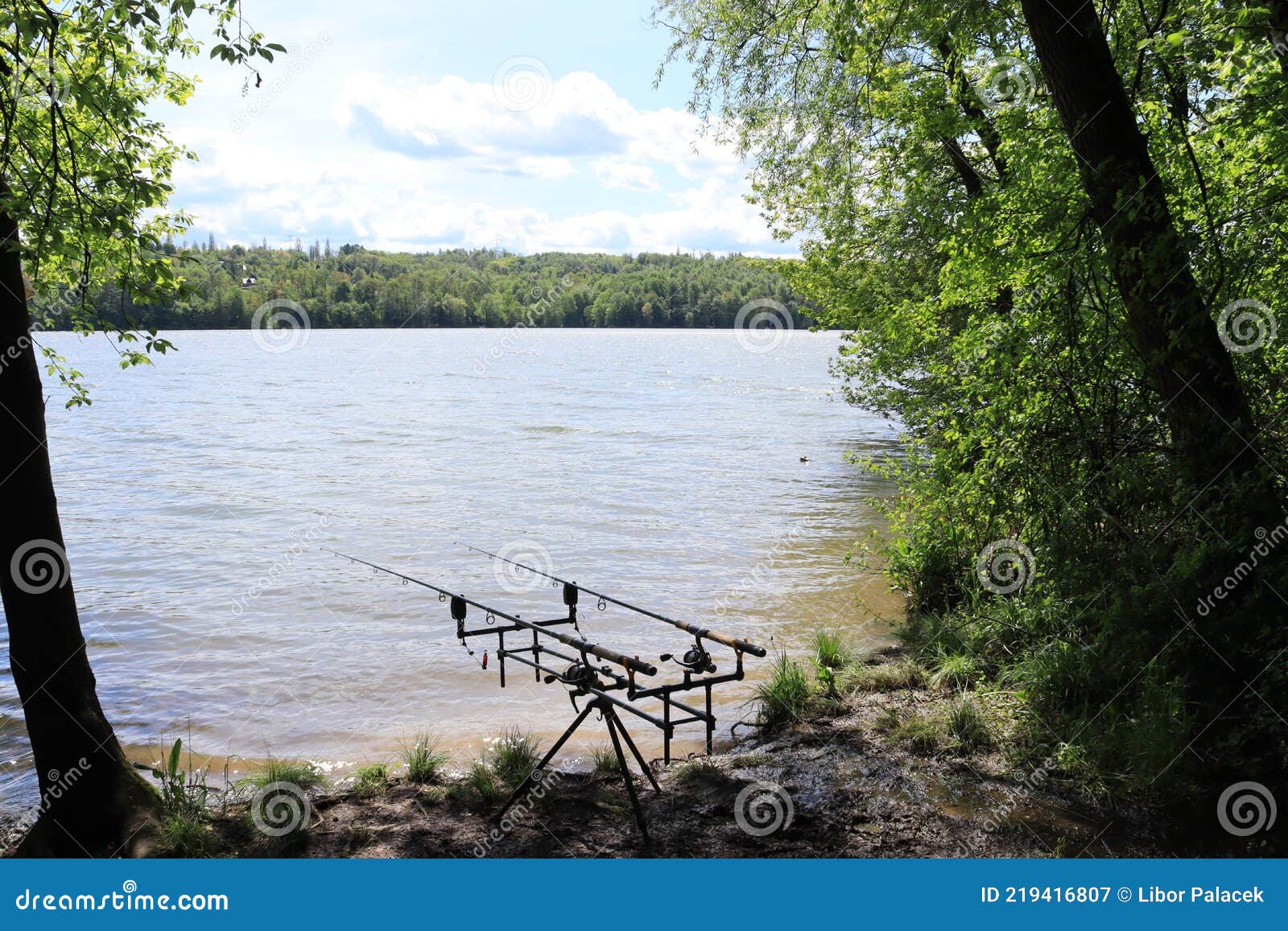 Fishing Stand with Fishing Rods by the Water. Carp Fishing on the