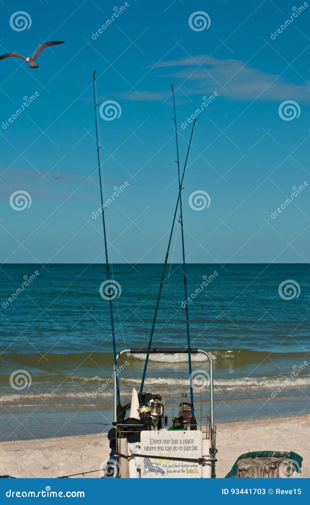 https://thumbs.dreamstime.com/z/fishing-tackle-cart-beach-gulf-mexico-sunny-tropical-day-preparing-to-surf-fish-seagull-watching-93441703.jpg