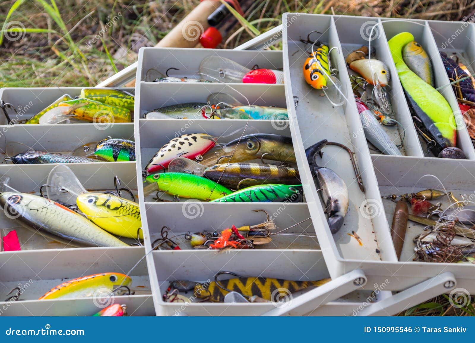 Fishing Tackle for Catching Predatory Fish on the River Bank in Summer  Stock Photo - Image of equipment, food: 150995546