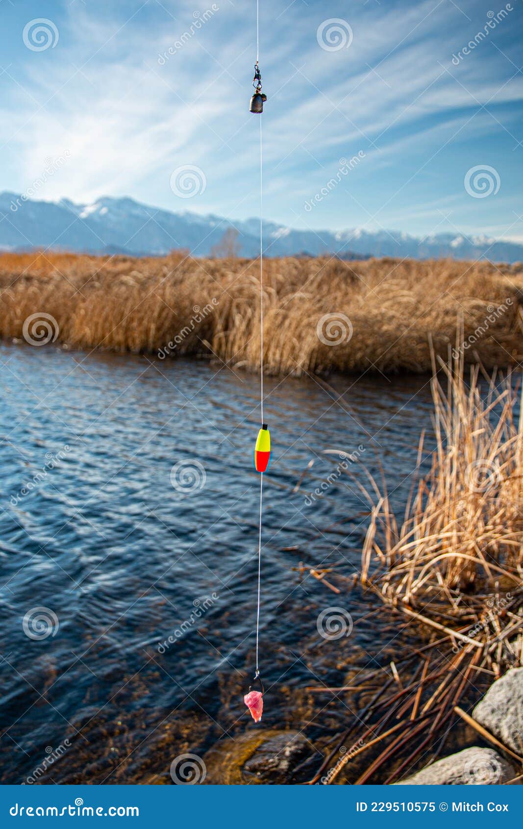 Santee Cooper Rig stock image. Image of nature, wetland - 229510575