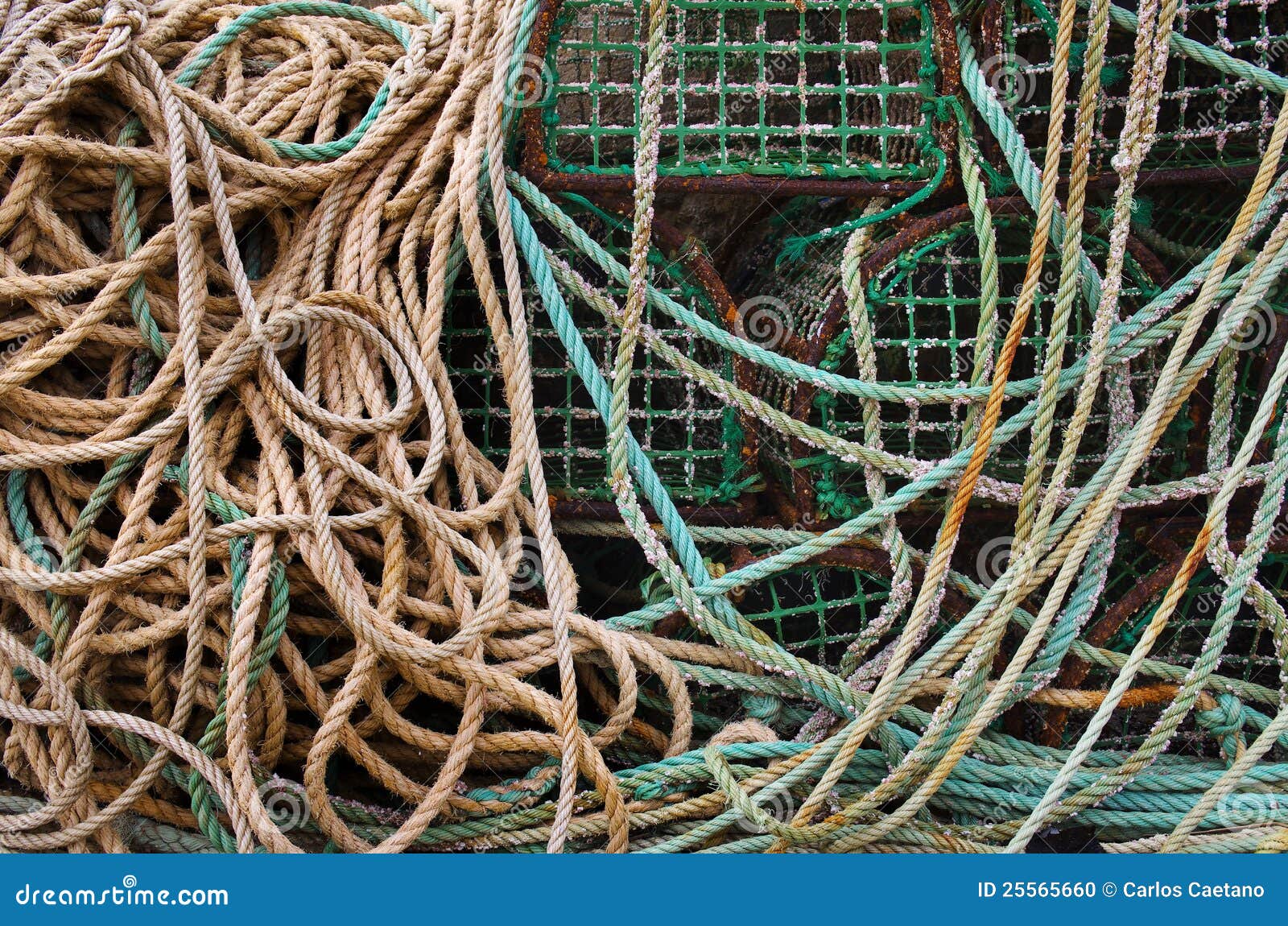 Fishing Traps stock photo. Image of mesh, marine, crab 25565660