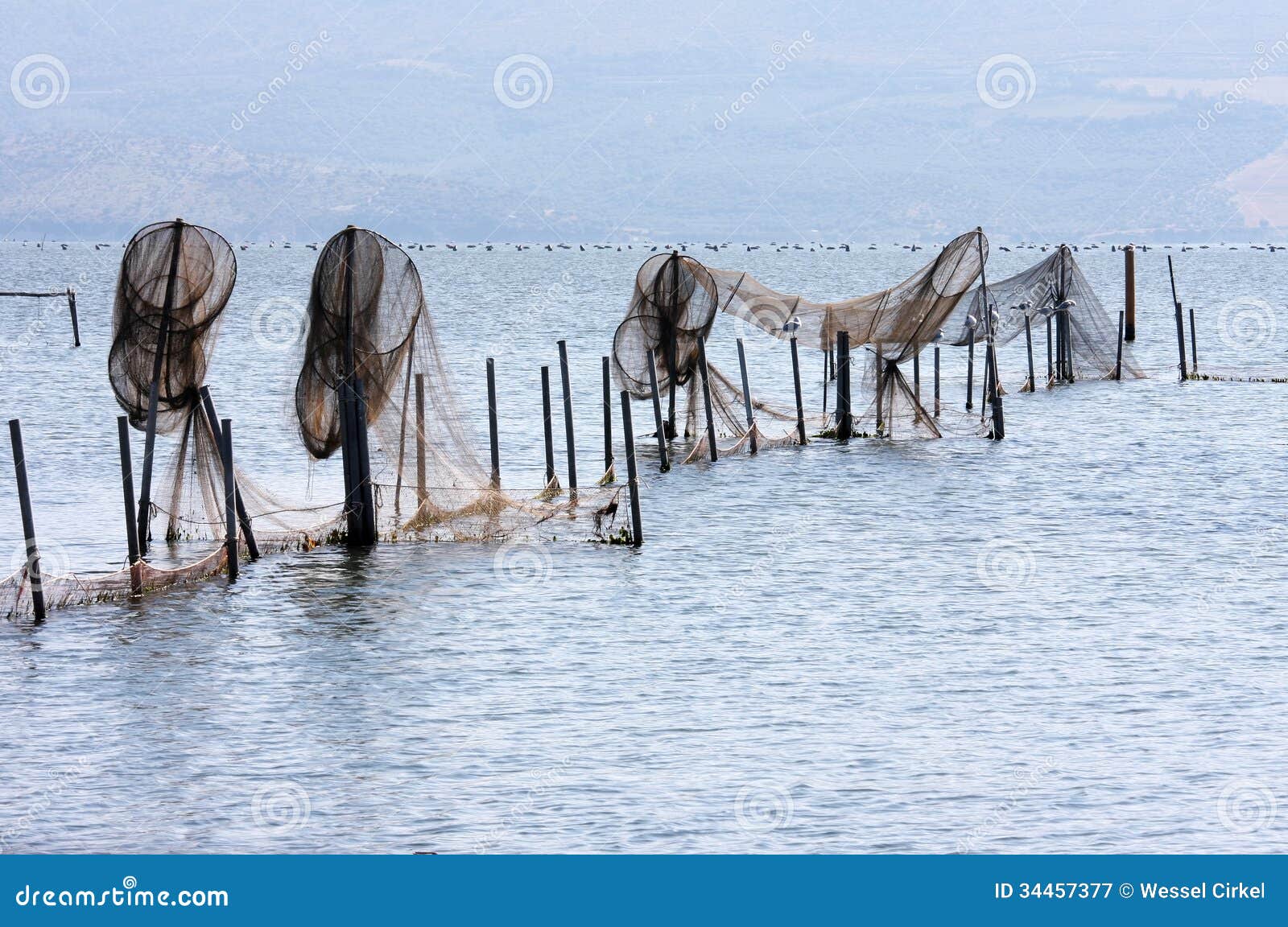 Fishing Traps in Lago Di Varano, Italy Stock Image - Image of fish