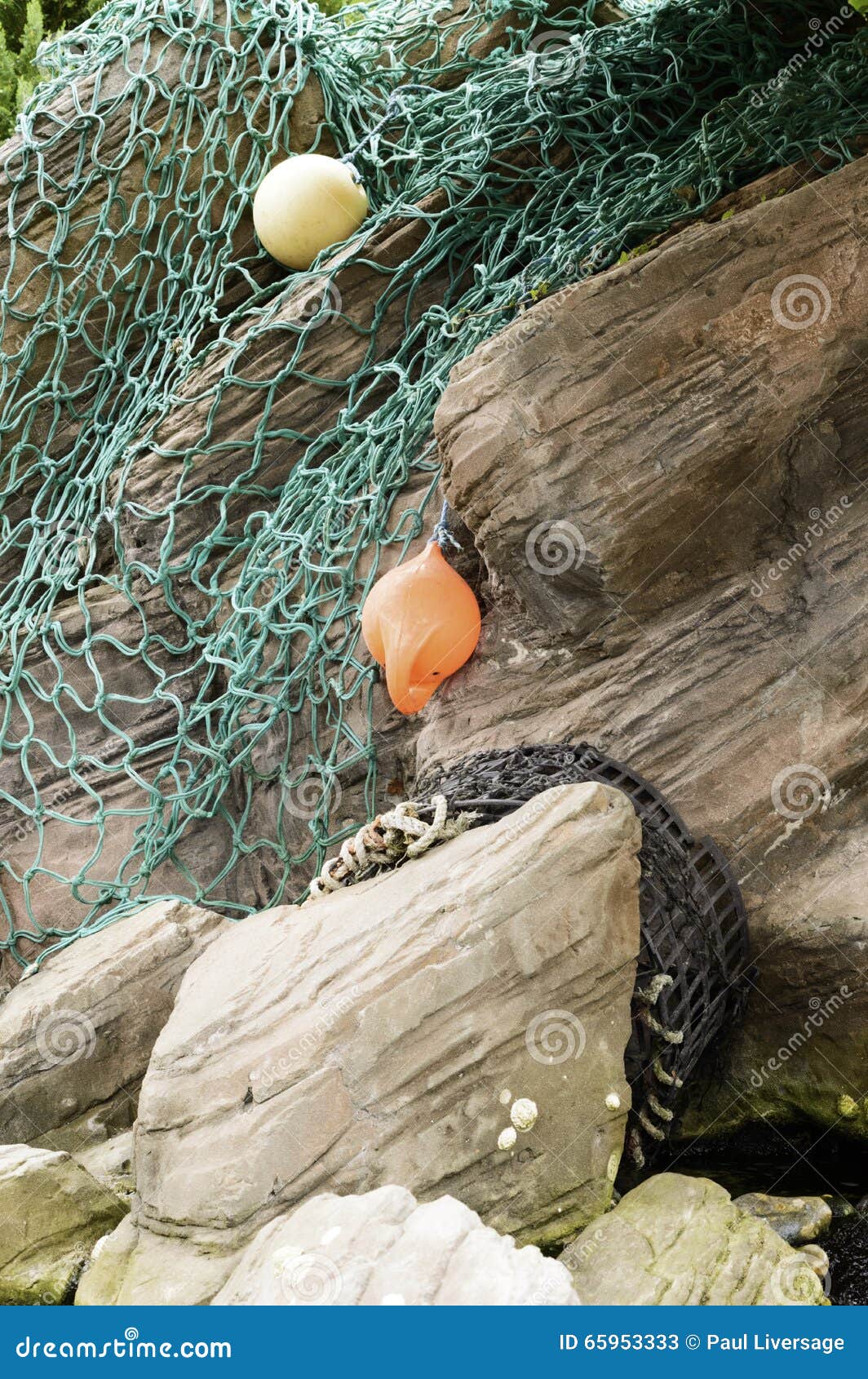 11,885 Commercial Net Fishing Stock Photos - Free & Royalty-Free Stock  Photos from Dreamstime