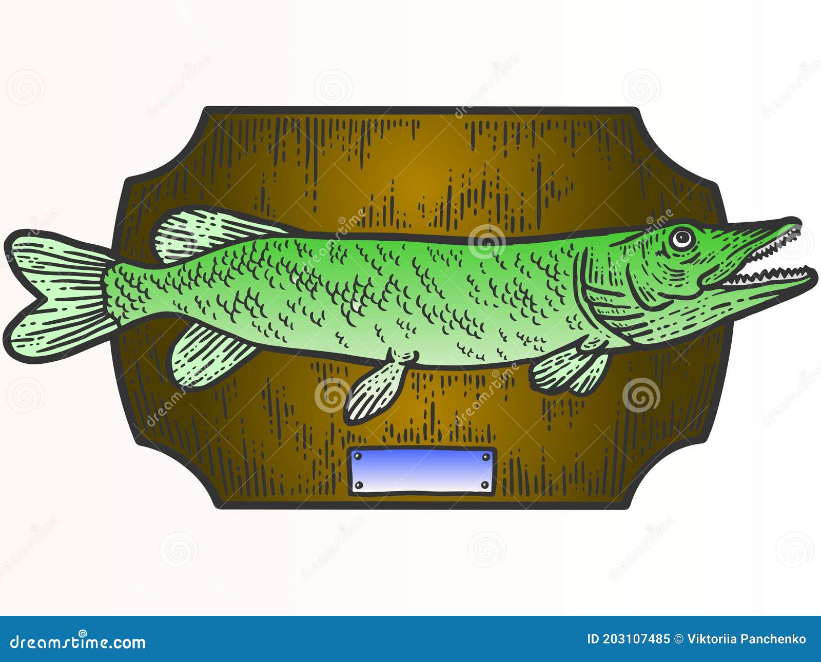 Fishing Trophy Stuffed Fish, Northern Pike. Apparel Print Design. Scratch  Board Imitation. Color Hand Drawn Image Stock Vector - Illustration of  clipart, background: 203107485