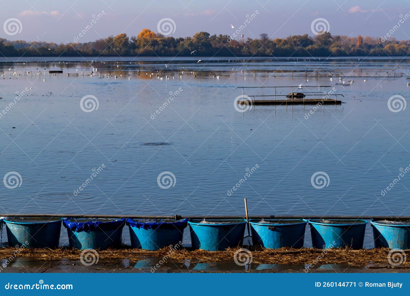 Fishing Tubs for Fish when Fishing the Pond Stock Image Image of