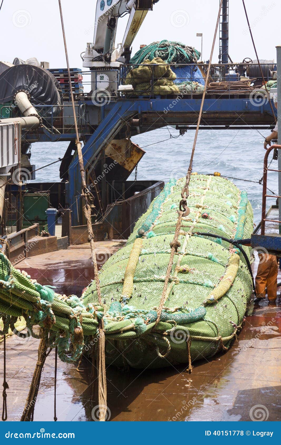 Fishing Vessel. Great Catch of Fish in Thrall Stock Photo - Image