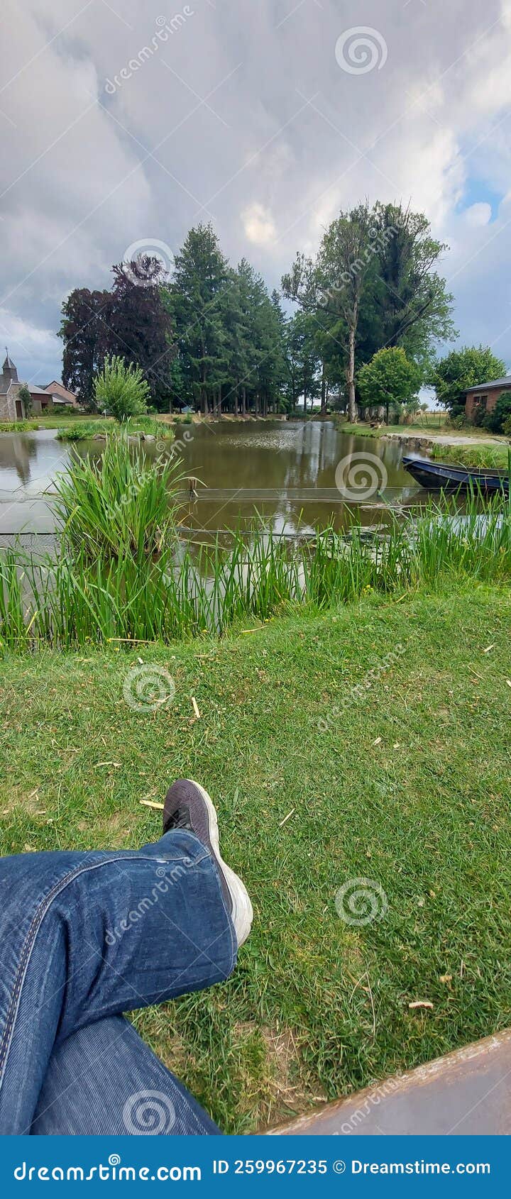Fishing pond stock image. Image of tree, relax, fishingpond 259967235