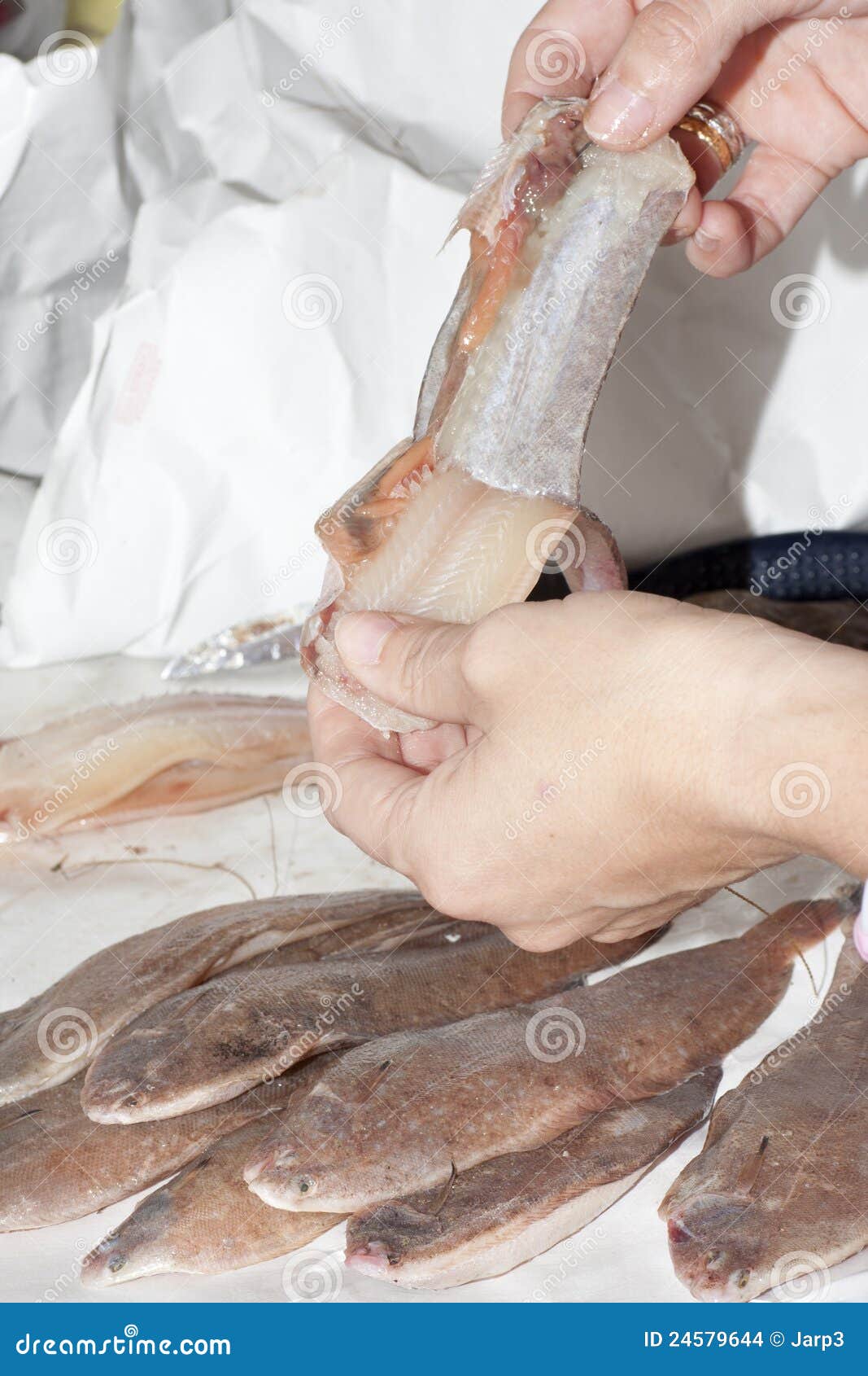 Fishmonger cleaning sole stock photo. Image of food, flounder 24579644