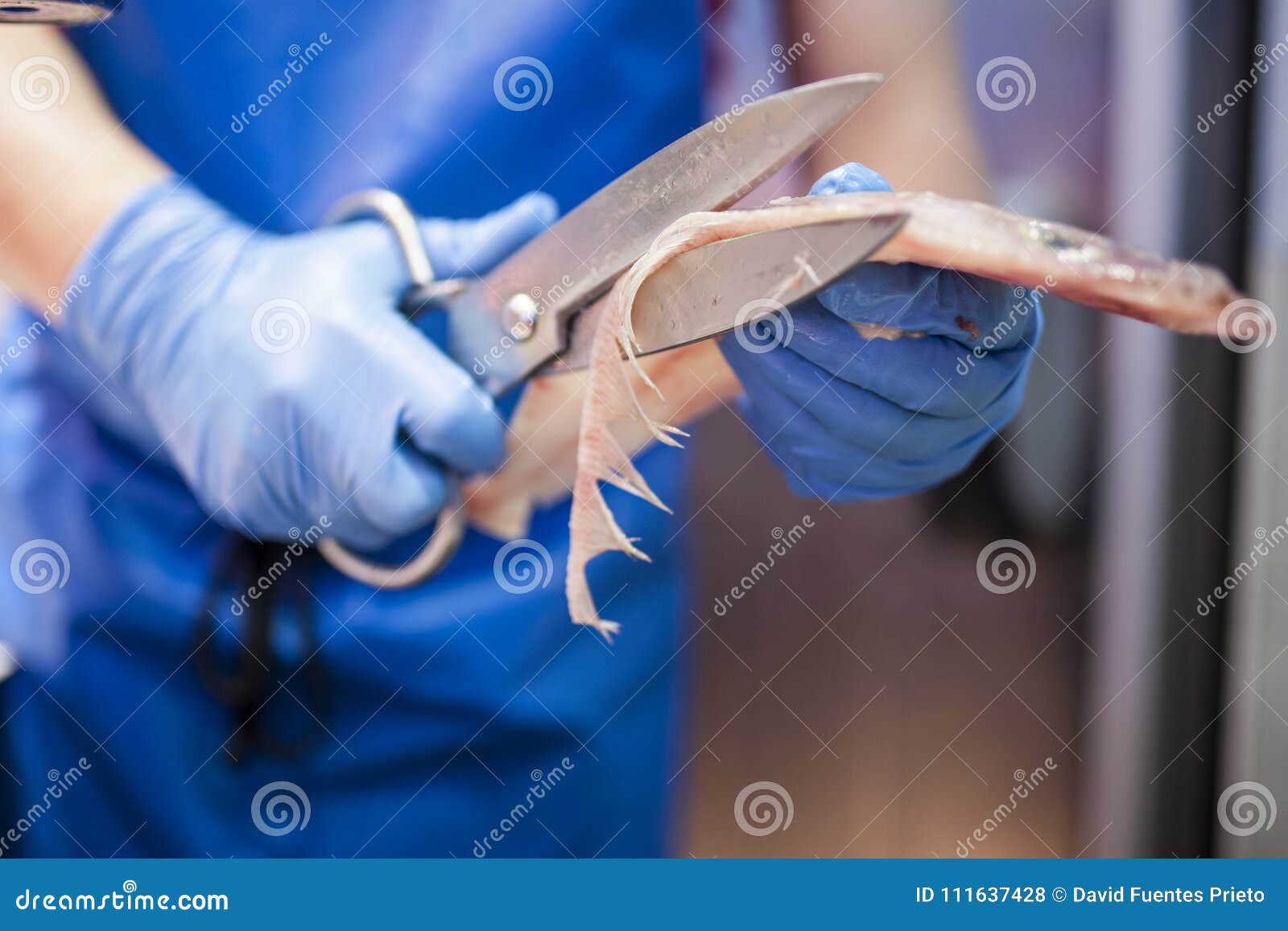 Fishmonger Cutting Fish with Scissors Stock Photo Image of stall