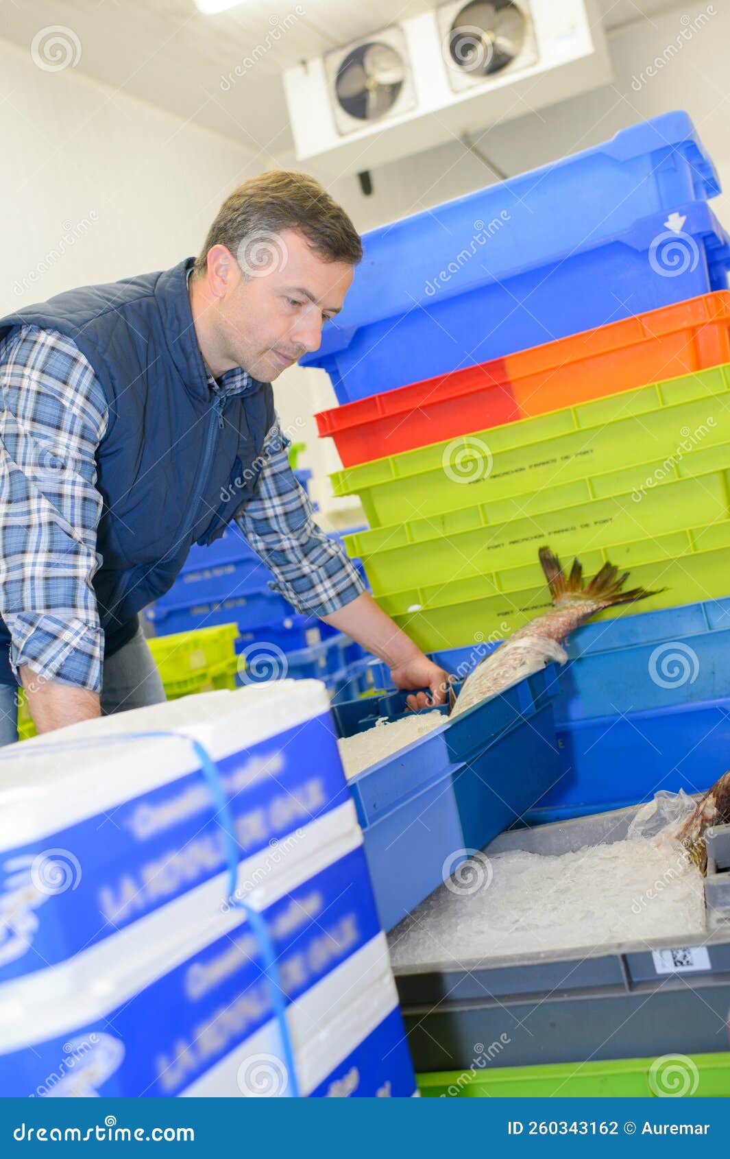Fishmonger Receiving Fresh Fish Delivery Stock Photo Image of product