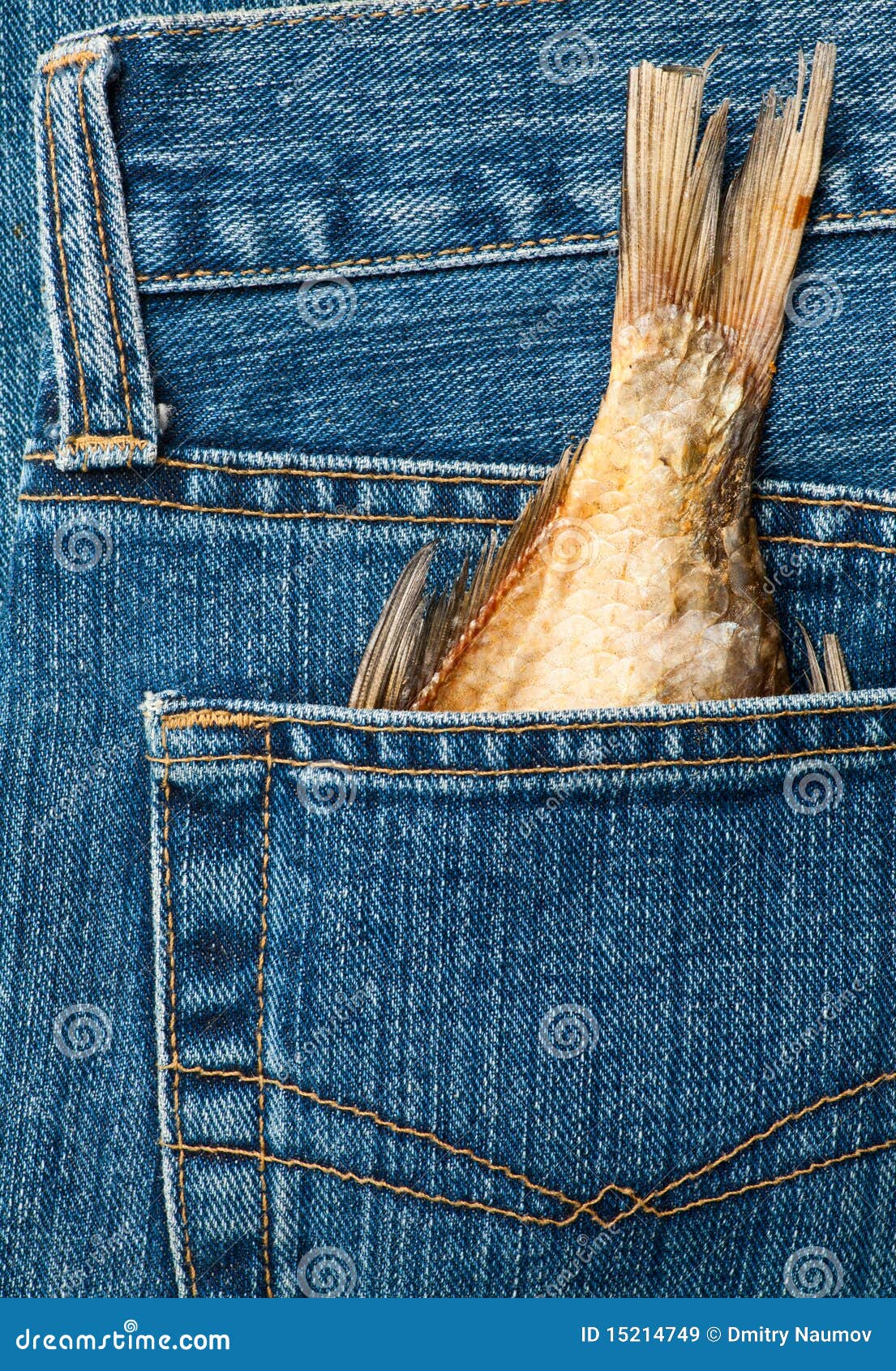 Fishtail in a pocket stock image. Image of back, concepts - 15214749