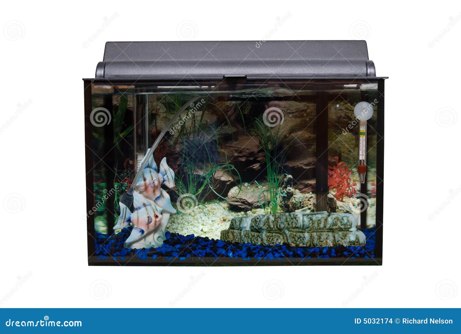 Fishtank isolado. Um fishtank retangular de vidro isolado de encontro a um fundo branco