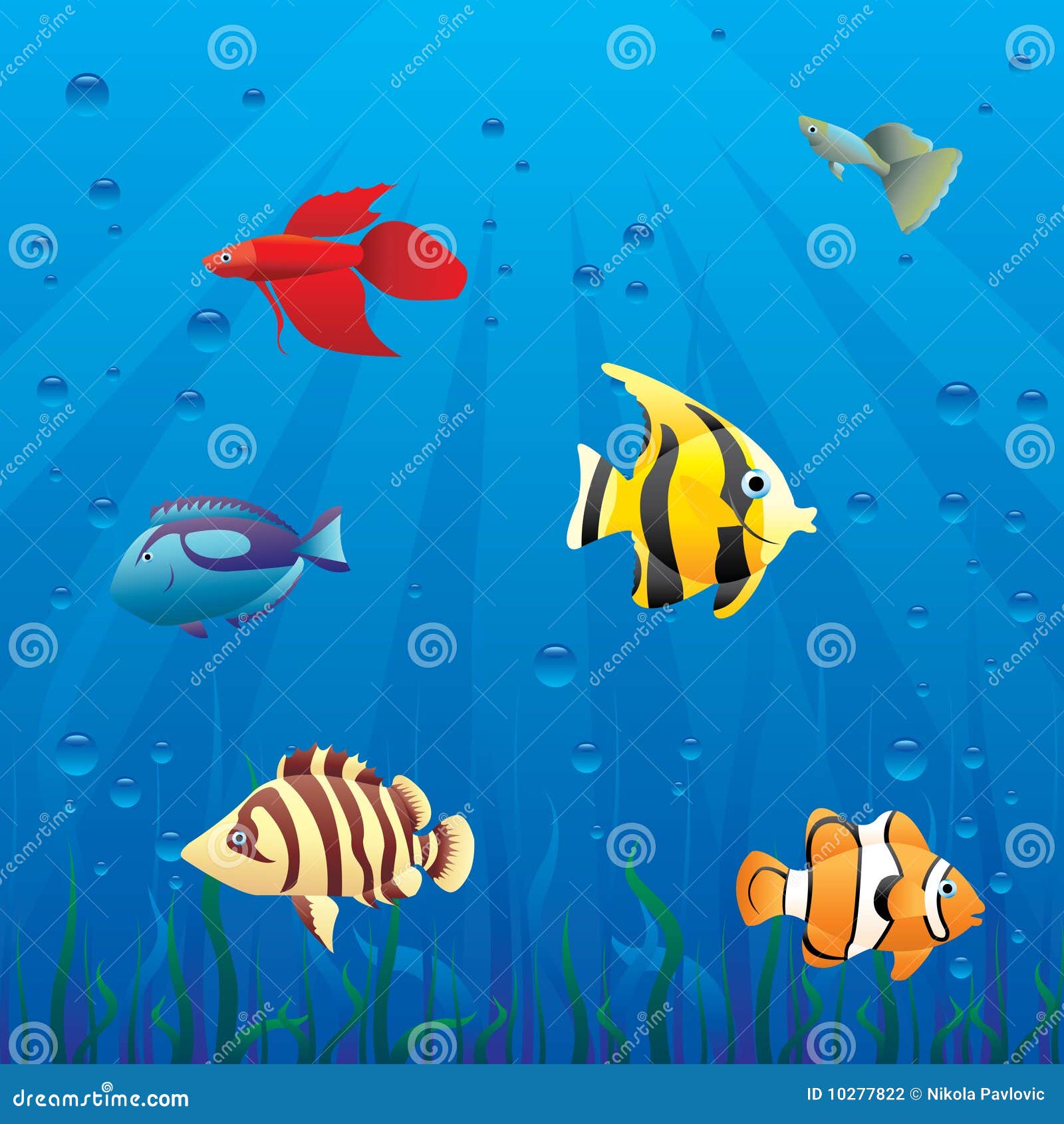 fiskar i havet fiskar i havet