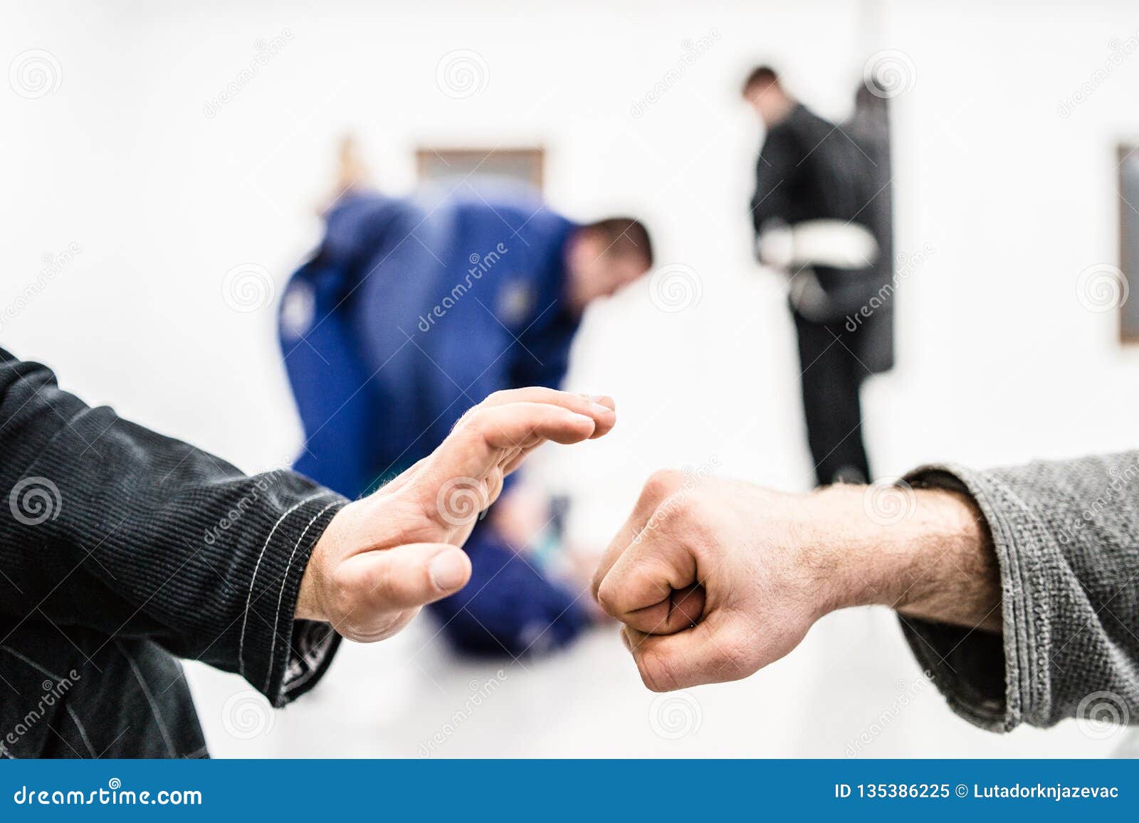 Fist Training