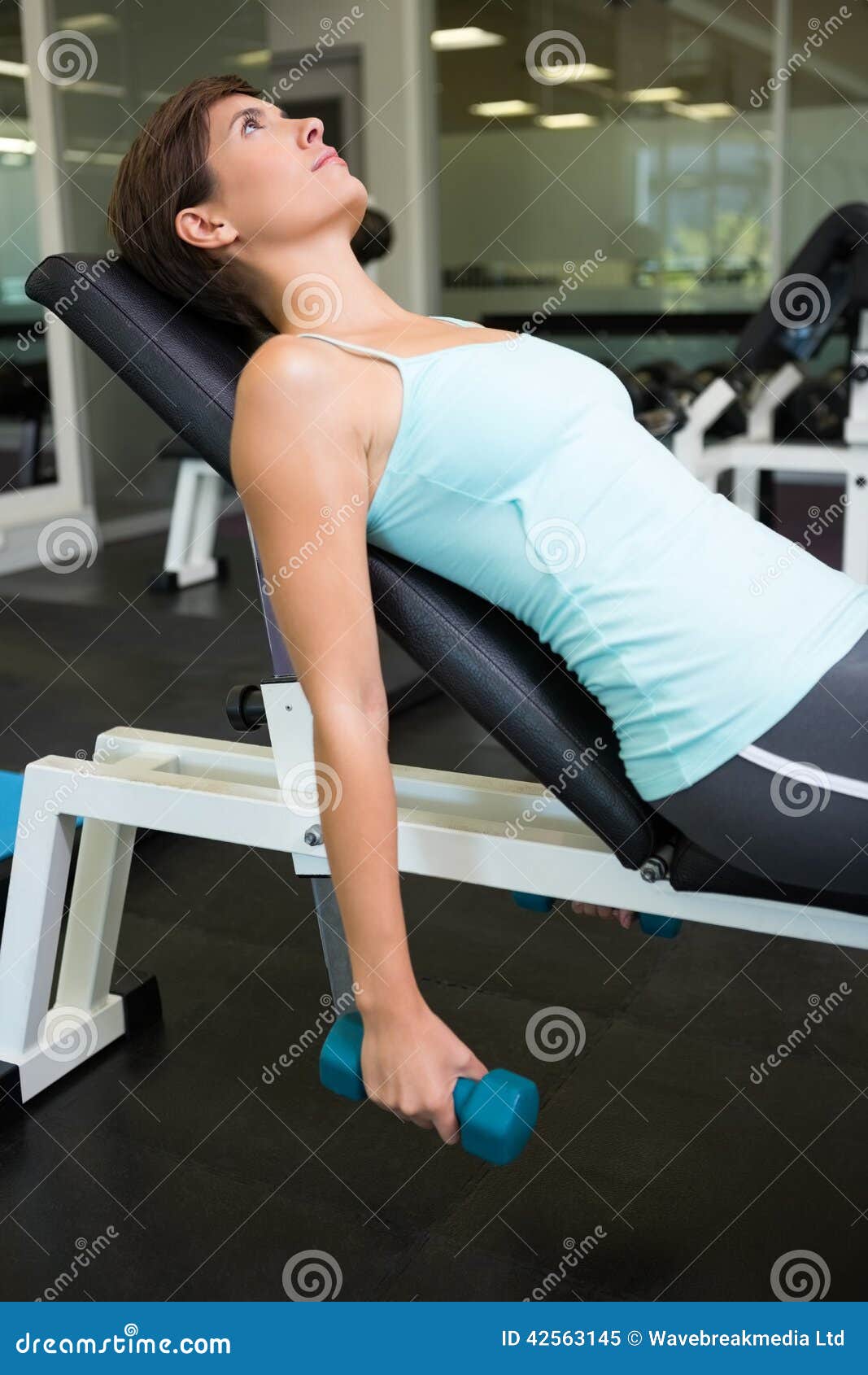 Fit Lifting Dumbbells on Bench Stock Image Image of woman