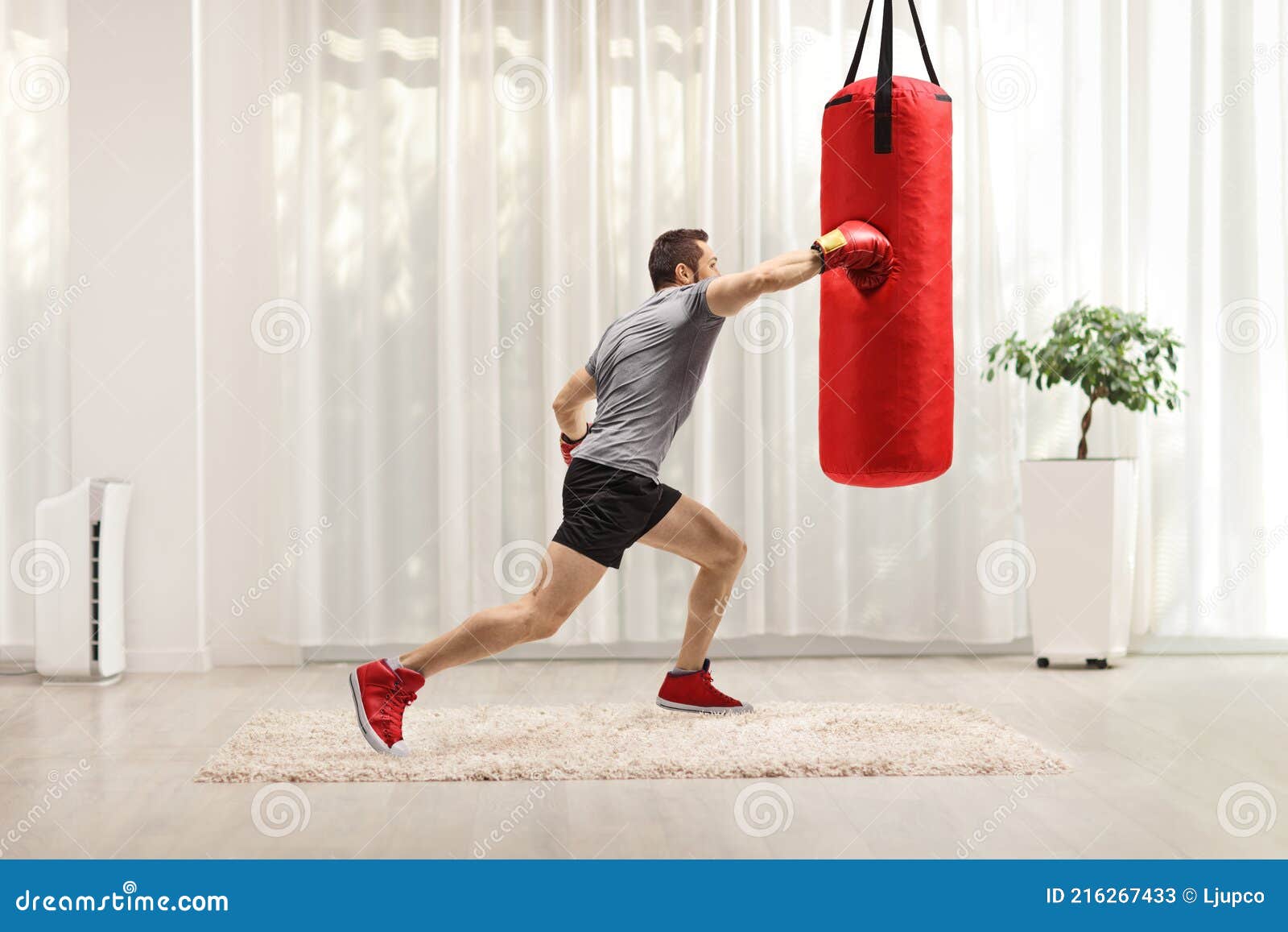 Fit Man Punching a Boxing Bag at Home Stock Image - Image of caucasian ...