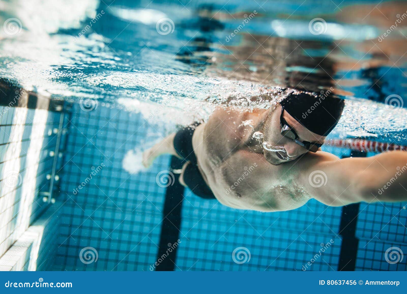 Fit Swimmer Training in the Swimming Pool Stock Photo Image of young
