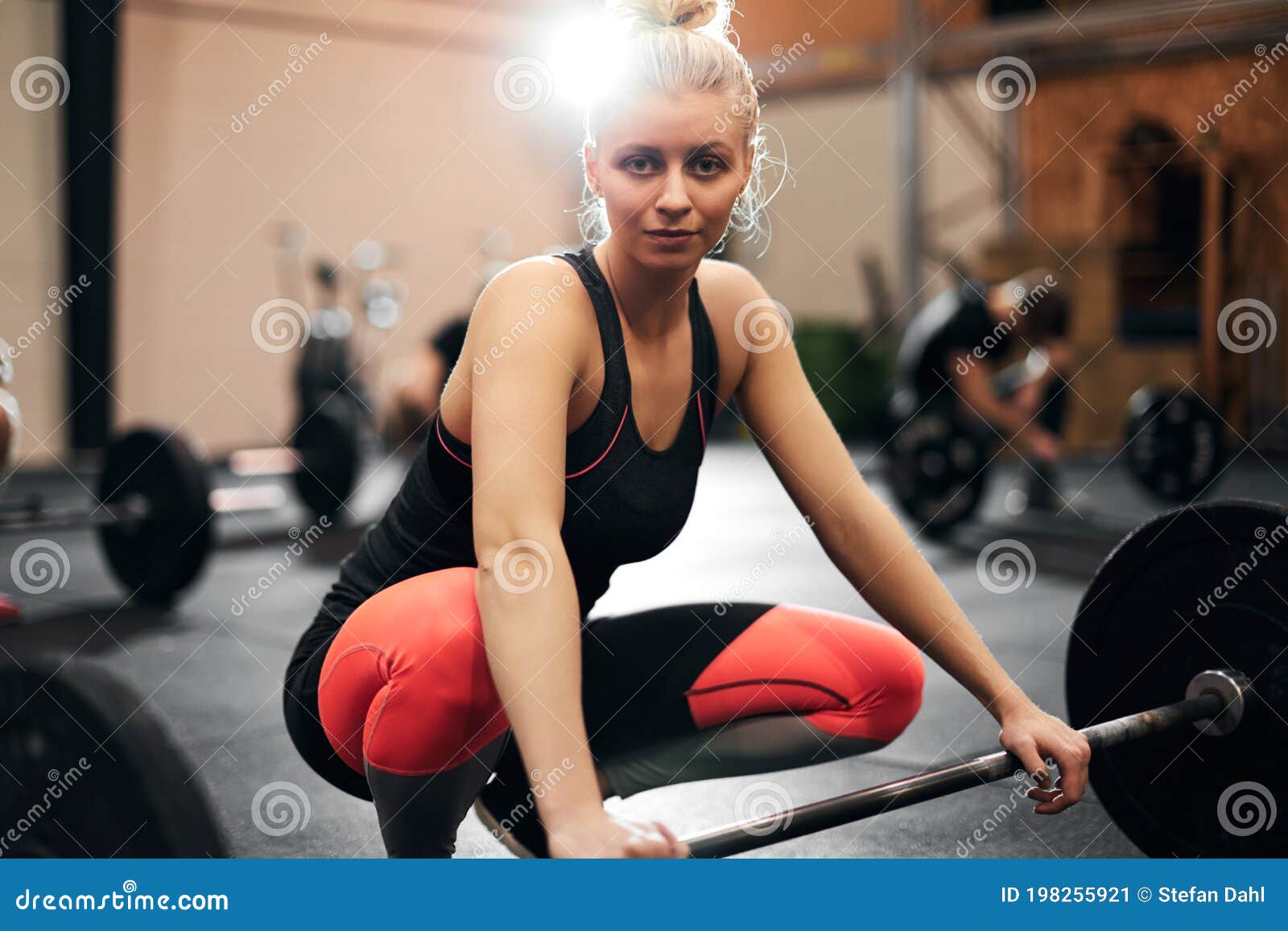 Fit Young Woman Preparing To Lift Weights at the Gym Stock Image ...