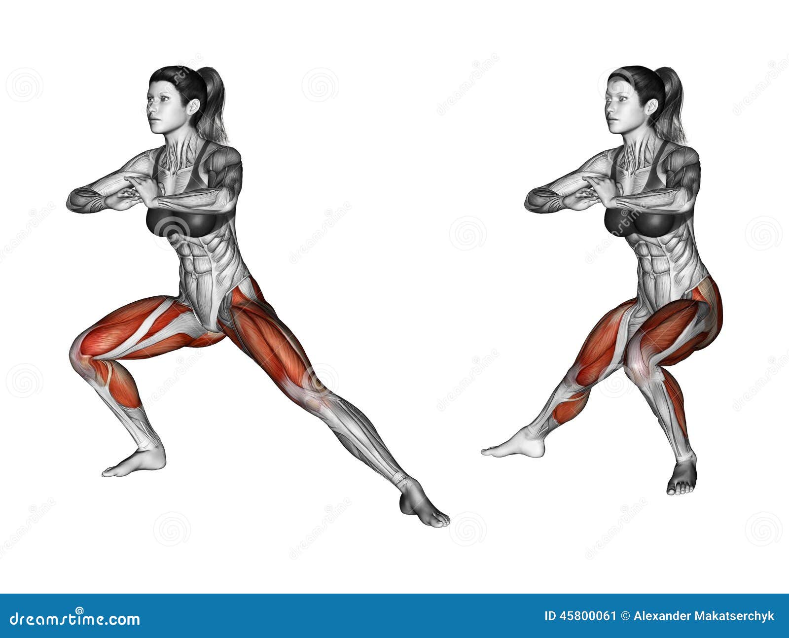 Fitness Exercising. Side Lunges. Female Stock Illustration ...