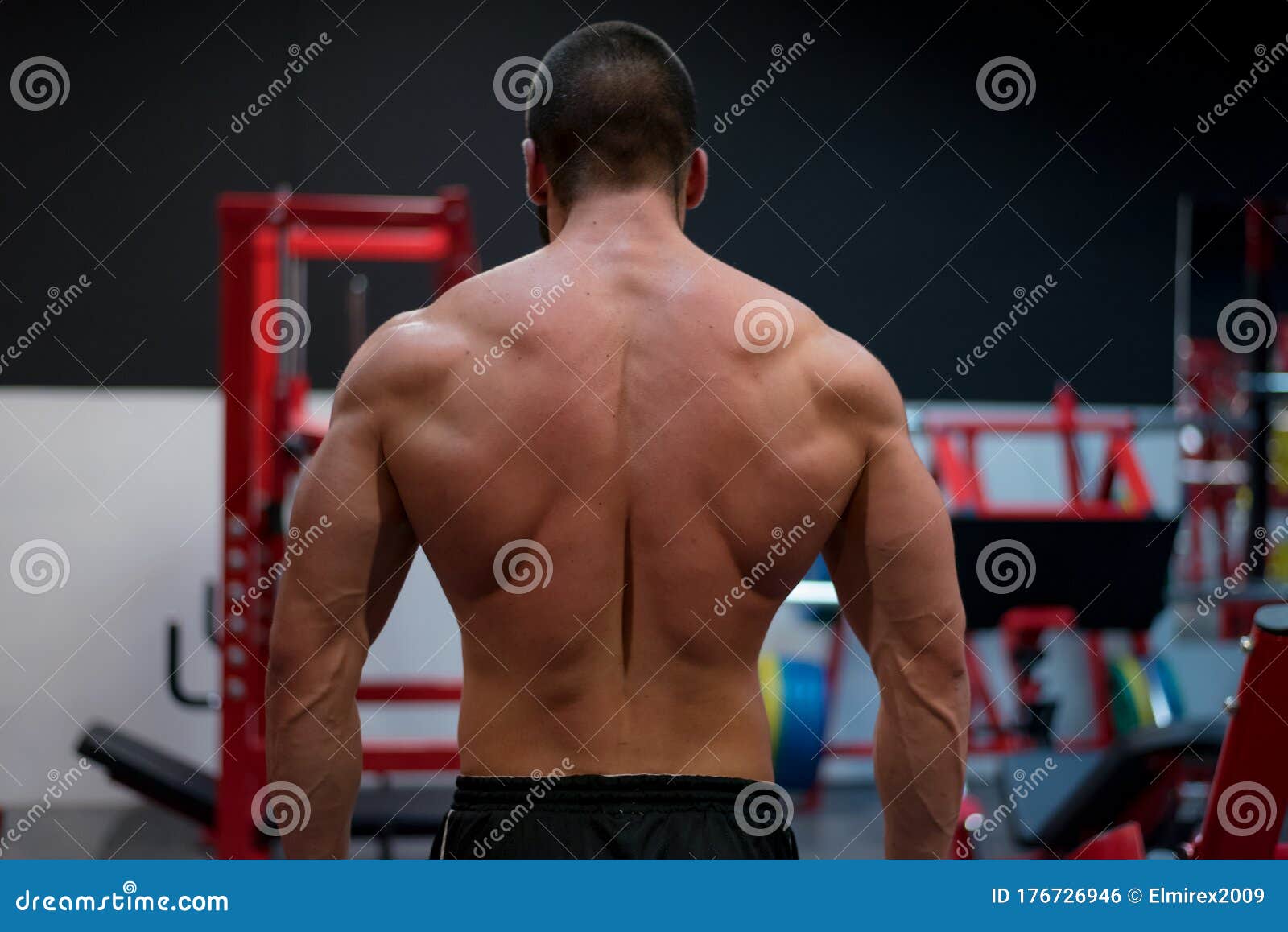 Fitness Model Man Posing in the Gym. Handsome Man with Big Muscles