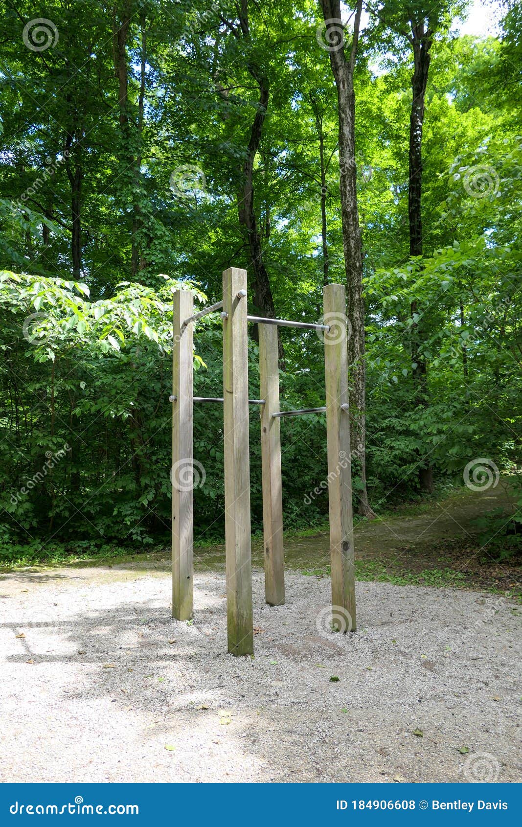 Pull up bars in a park stock photo. Image of stay, trail - 184906608