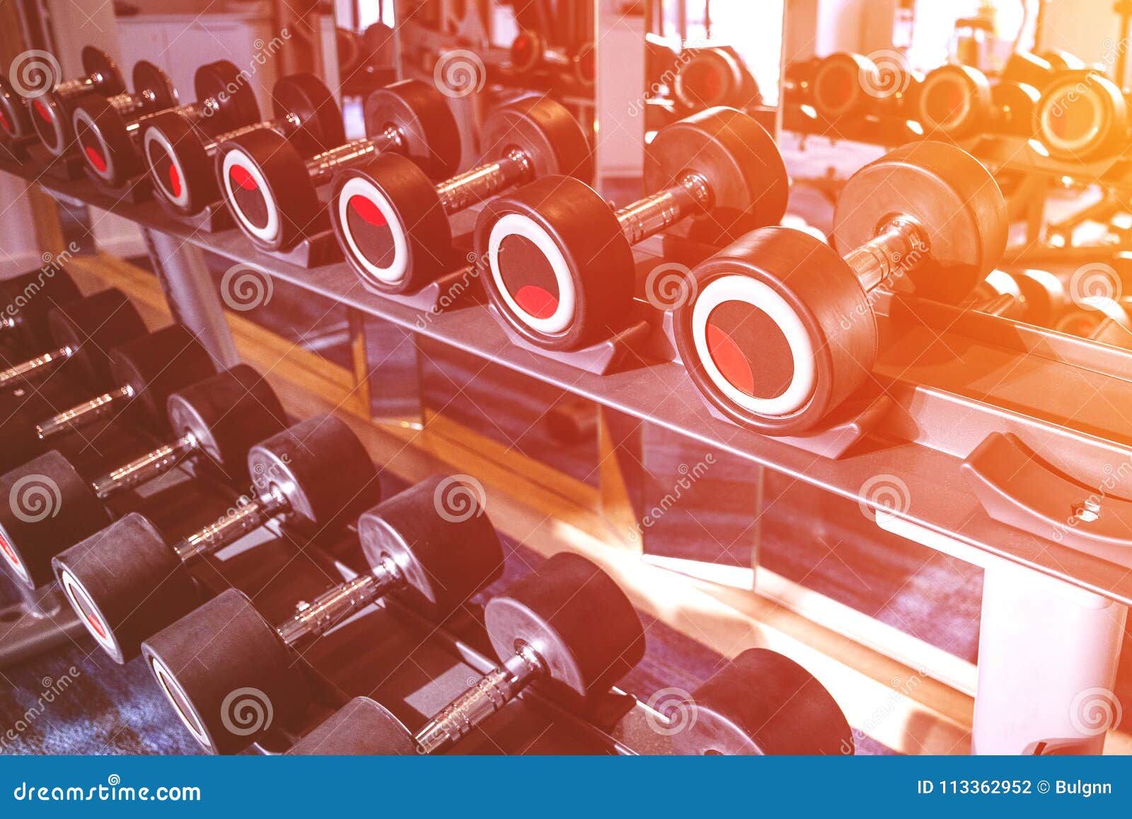 Fitness and Workout Equipment Set of the Modern Dumbbells on Th Stock