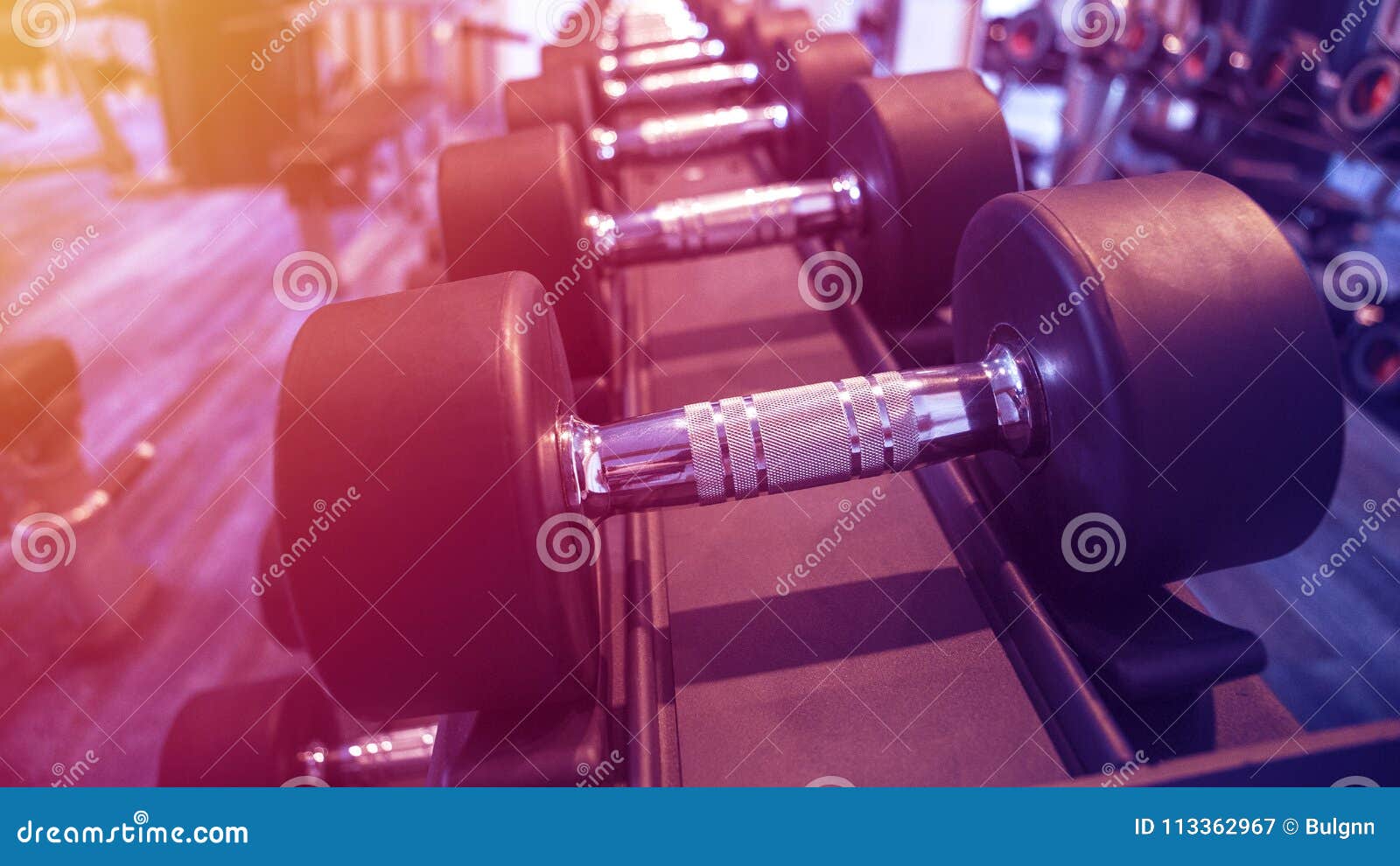 Fitness and Workout Equipment Set of the Modern Dumbbells on Th Stock