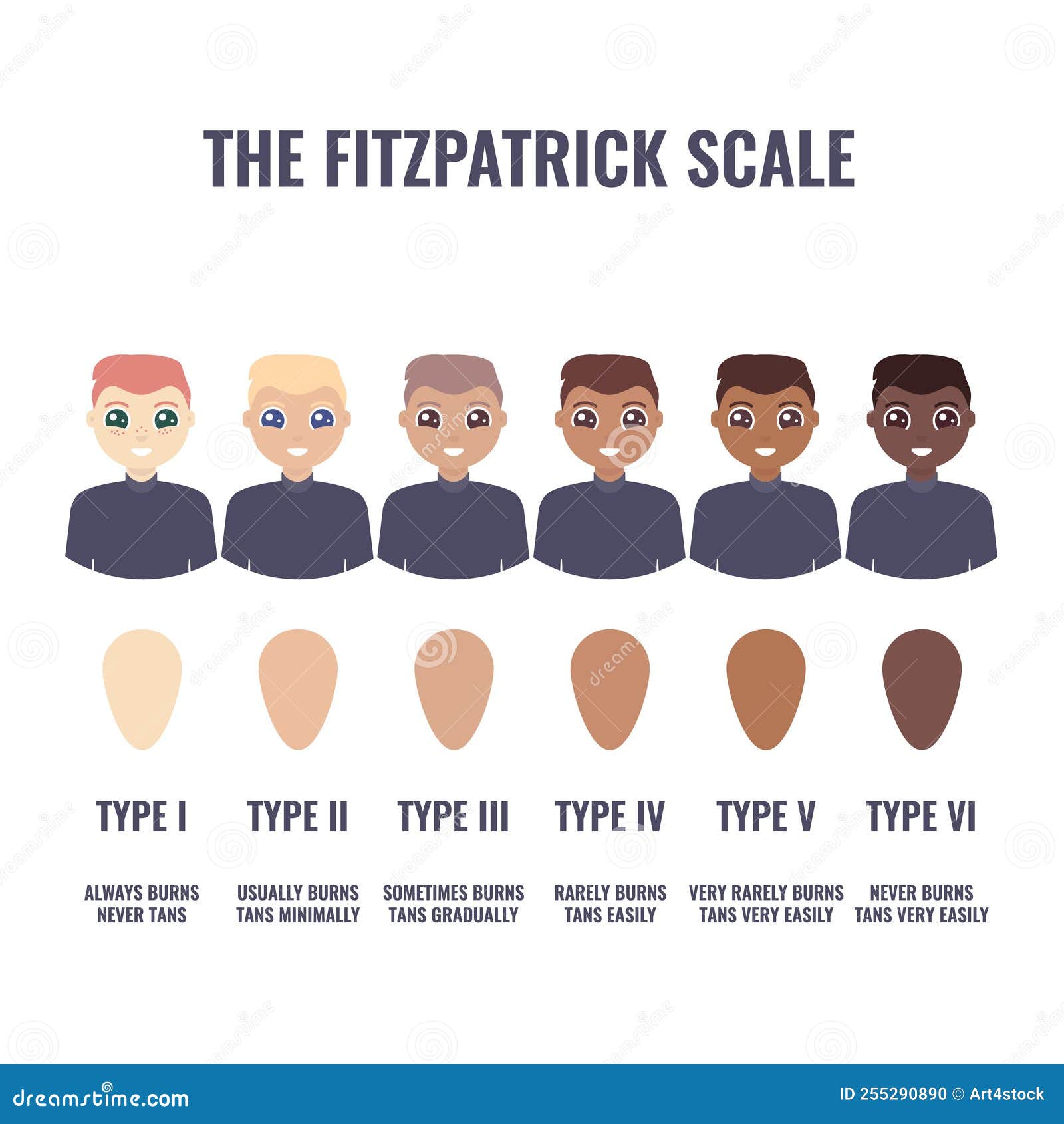 Fitzpatrick skin tone phototype with cute cartoon character vector isolated  on white background. Diagram of ethnicity skin tone scale phototype melanin  and hair color melanin. The Fitzpatrick scale. 35261257 Vector Art at