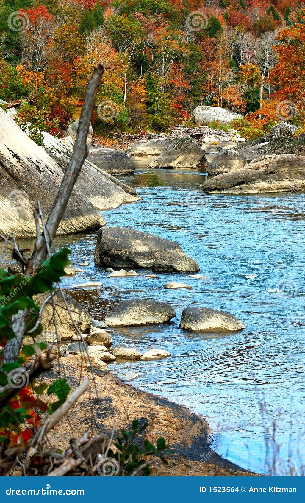 Fiume Dell Aquila Fotografia Stock Immagine Di Filiale 1523564