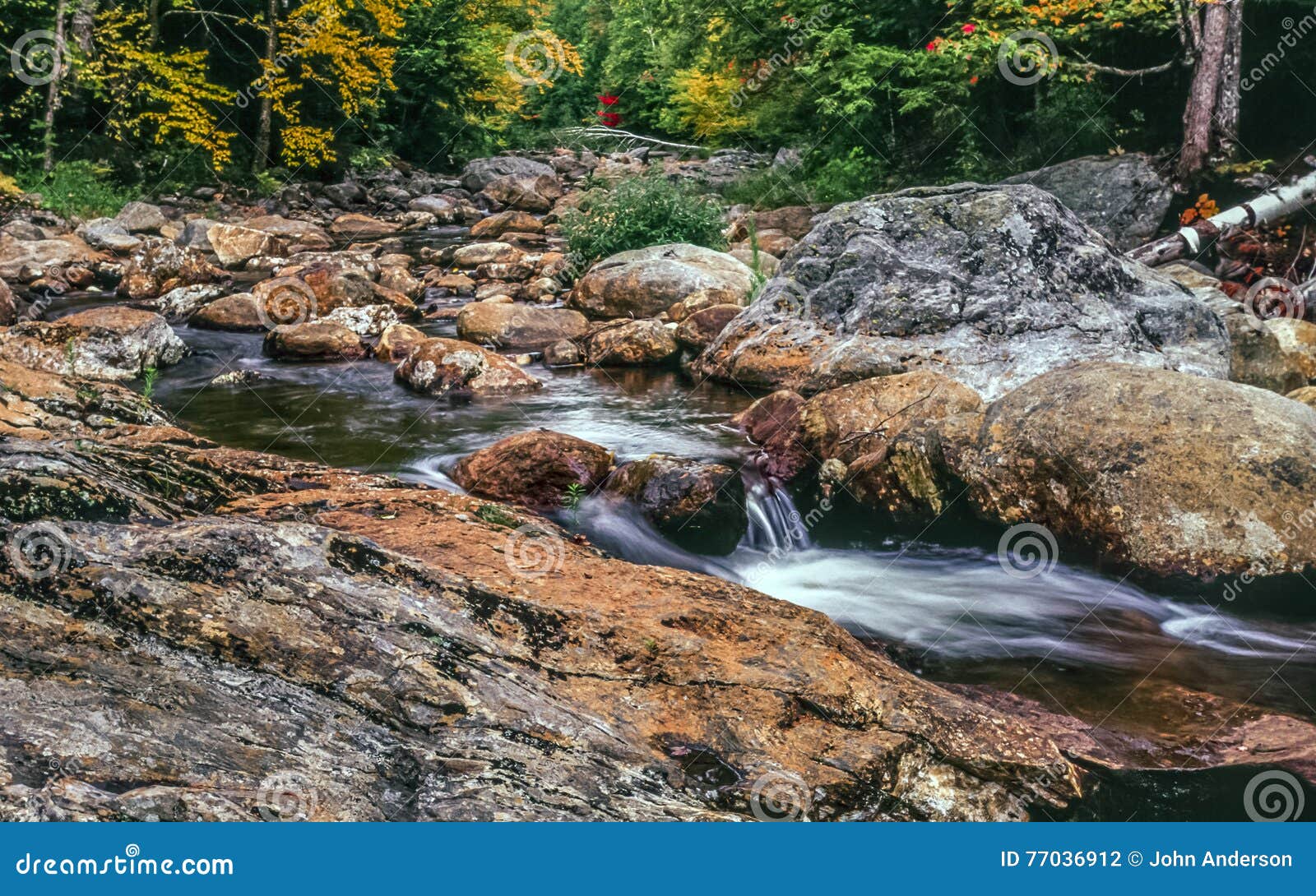 Fiume rapido in Autumn White Mountains, New Hampshire. Montagne bianche, fiume rapido di New Hampshire nel primo mattino
