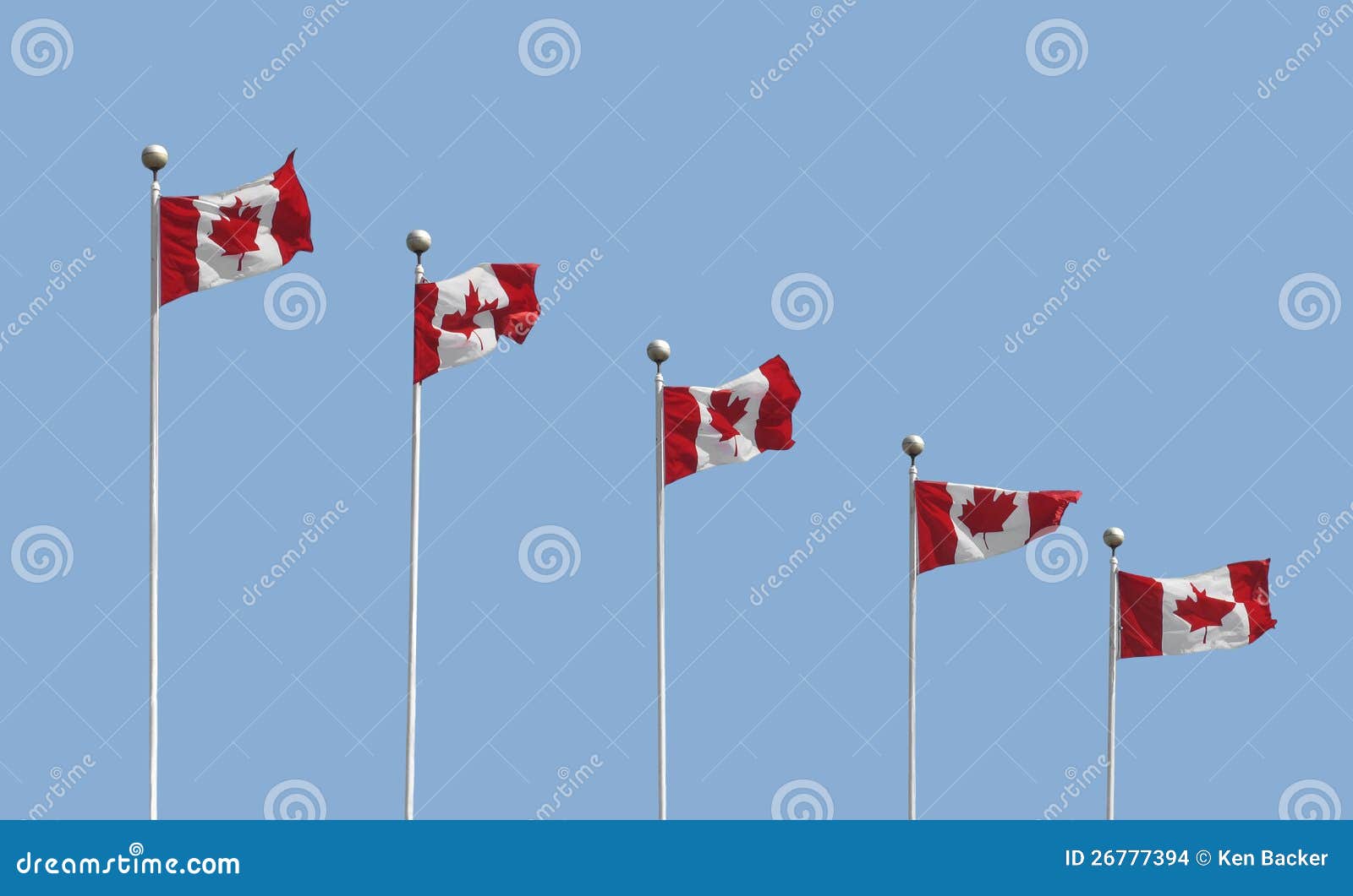 Five Canadian Flags on Poles Isolated Stock Photo Image of blue