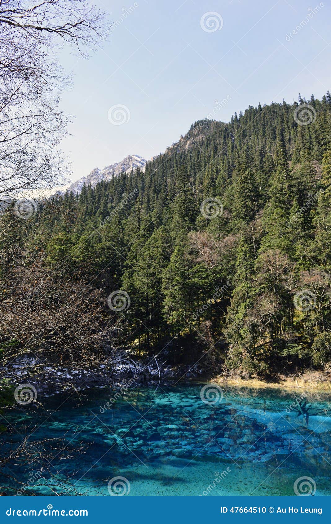 Five Color Pondjiuzhaigou Stock Photo Image Of Lake 47664510