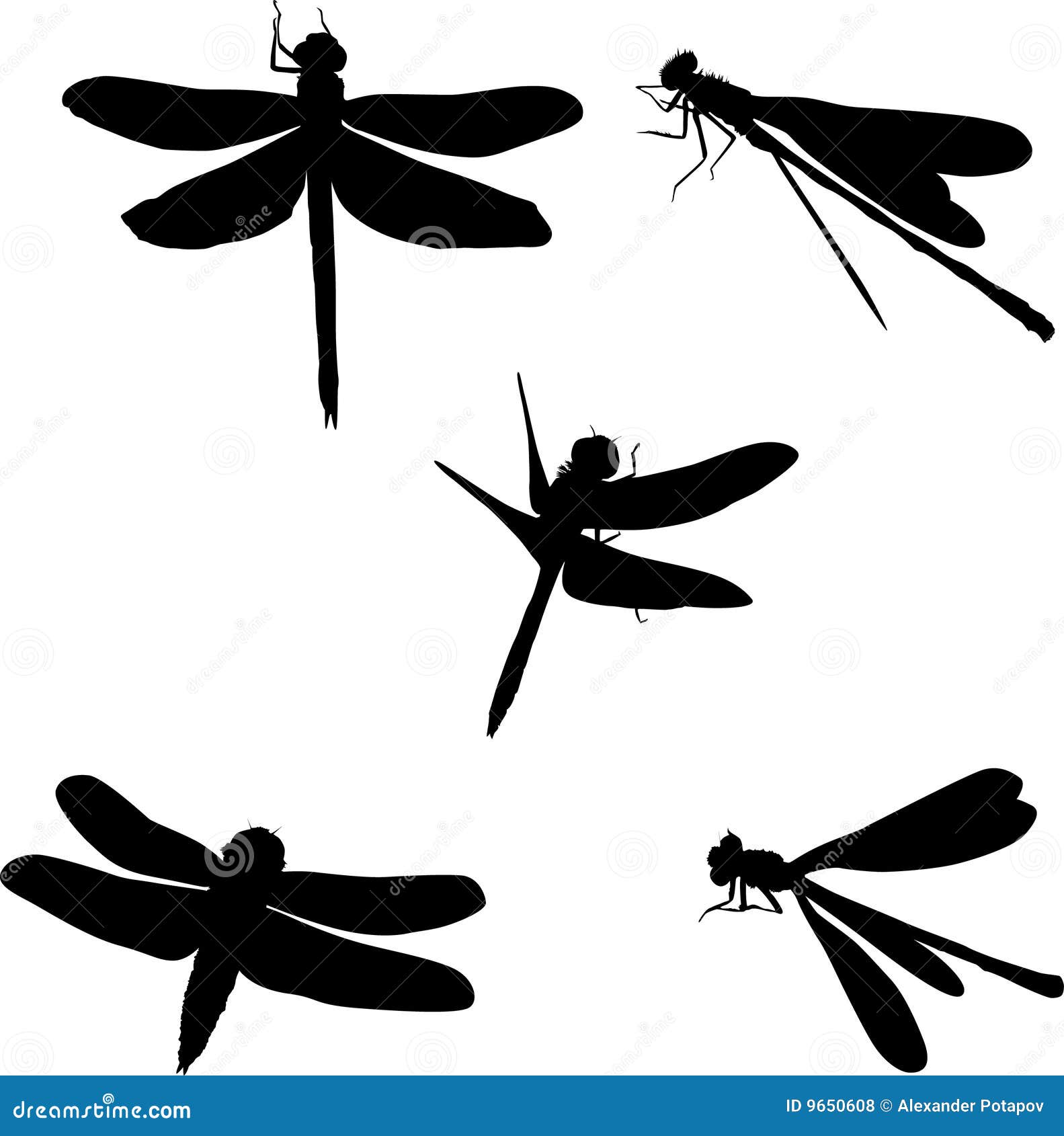 Five Dragonfly Silhouettes Royalty Free Stock Photos ...