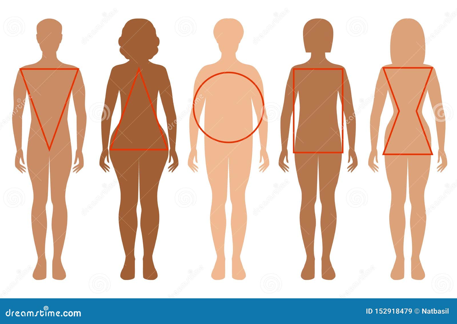 Free Vector  Flat types of female body shapes set