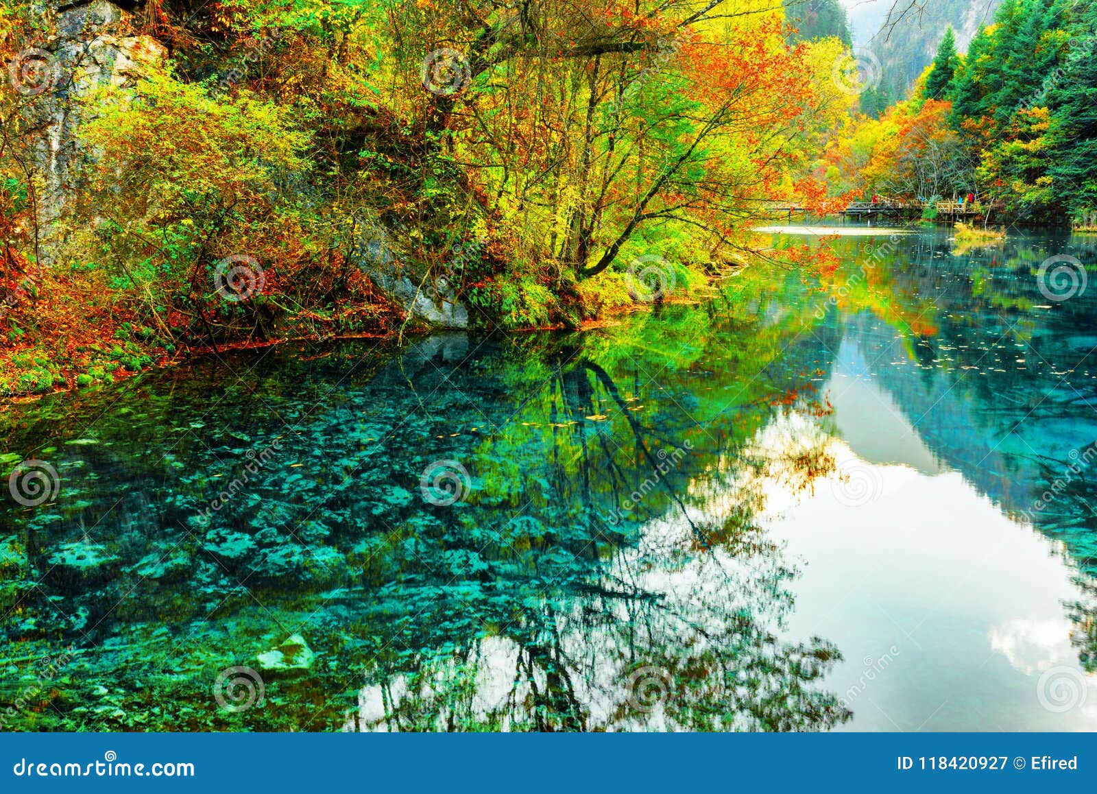 The Five Flower Lake Colorful Autumn Woods Reflected In Water Stock