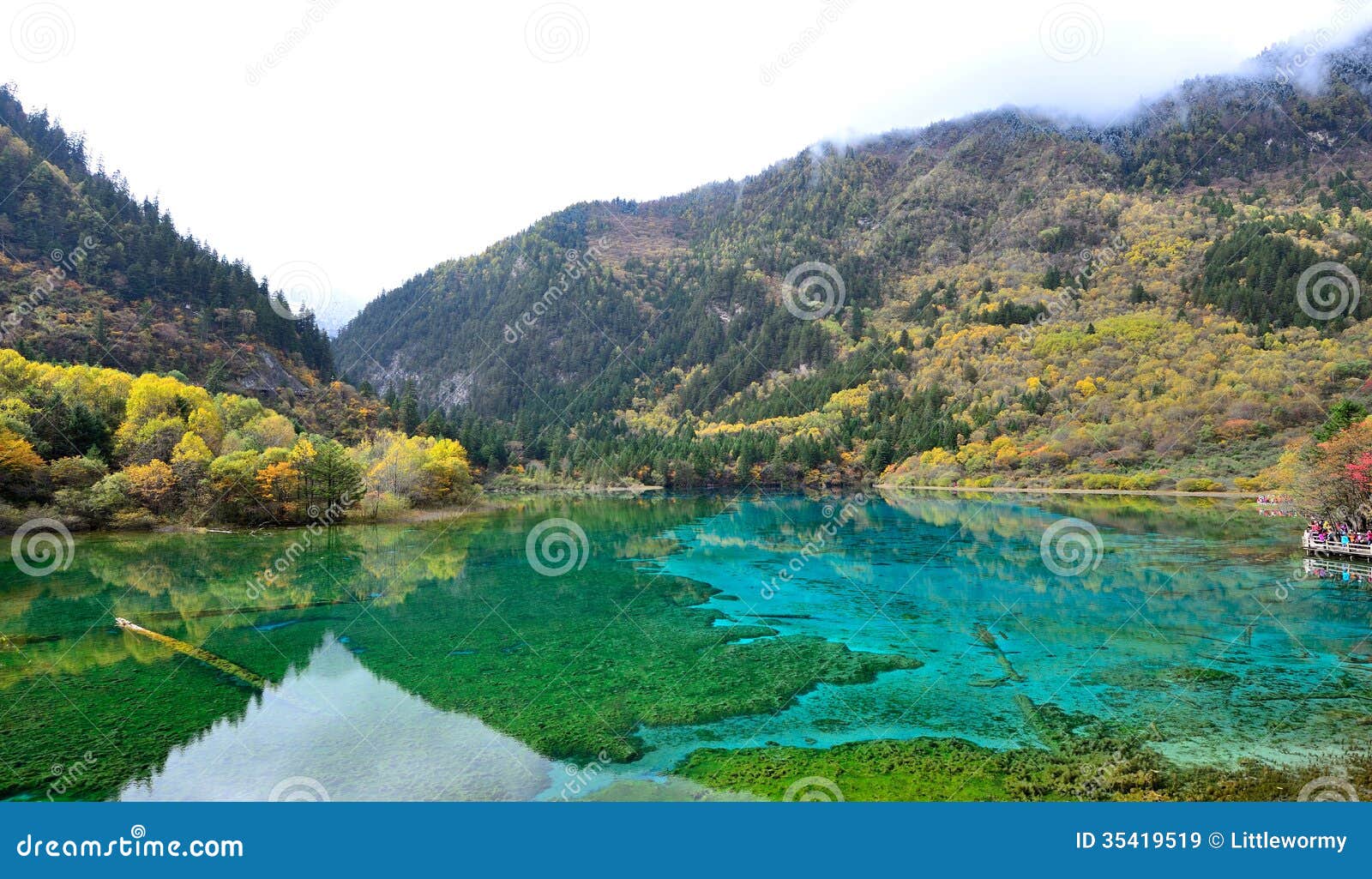 Five Flower Lake Jiuzhaigou Royalty Free Stock Images Image 35419519