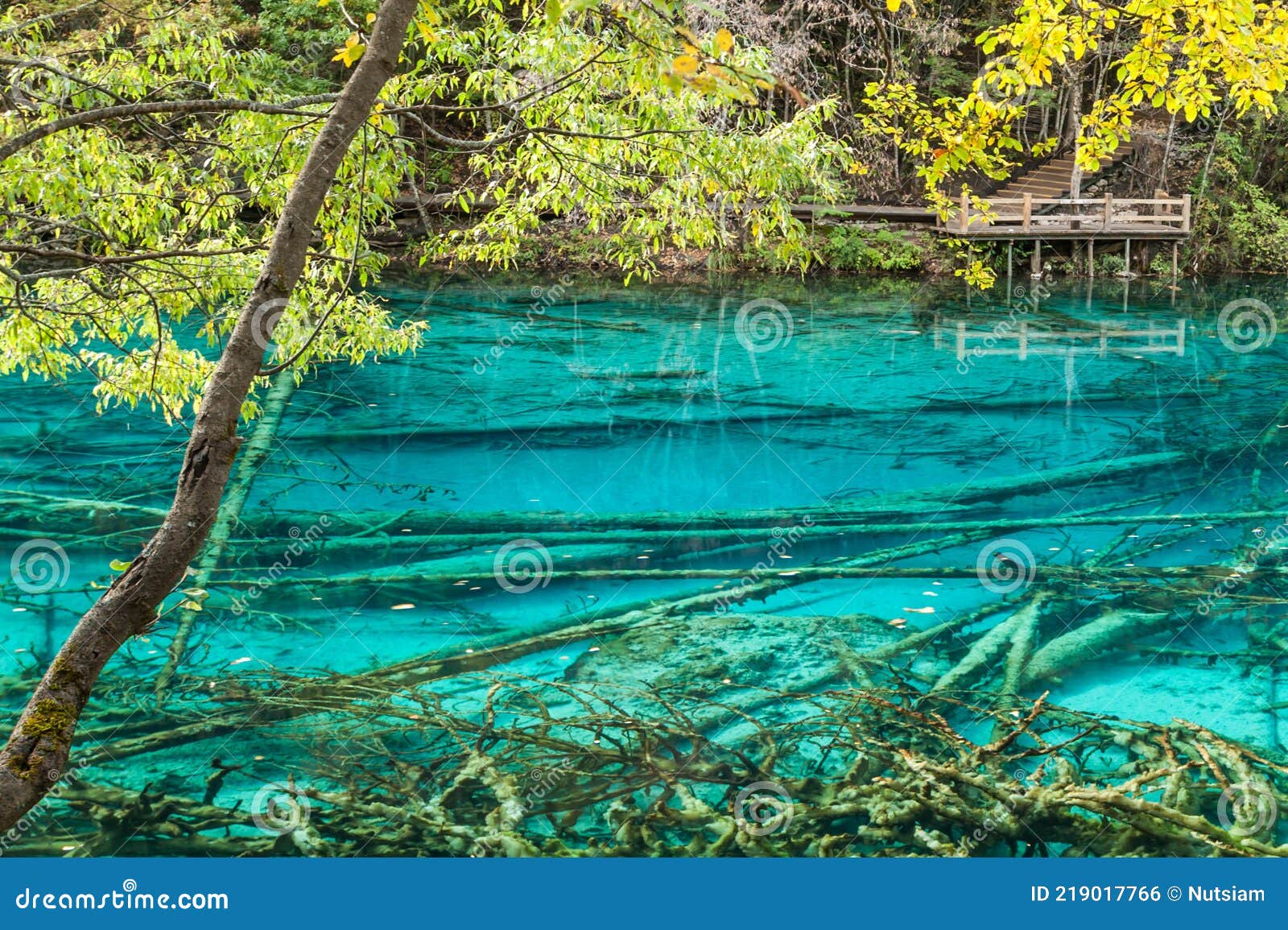 Nature Is Always Beautiful Five Flower Lake In Jiuzhaigou National