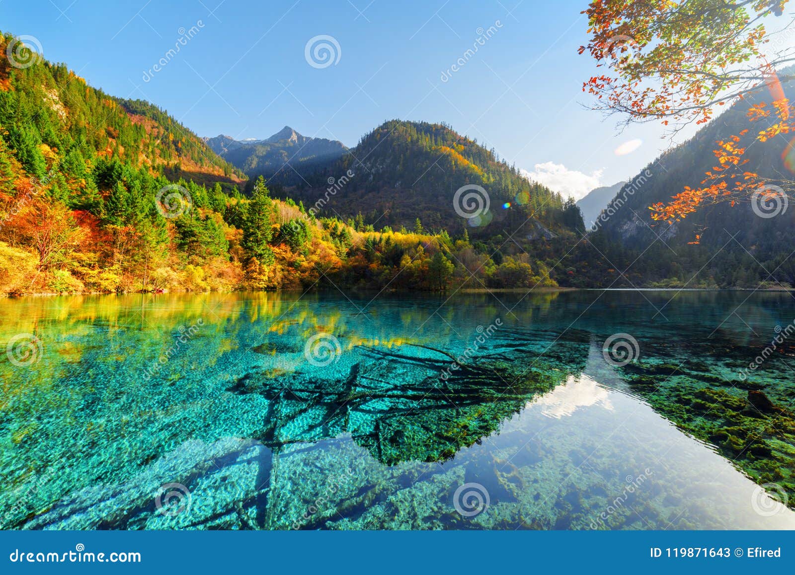 The Five Flower Lake Among Wooded Mountains And Autumn Forest Stock